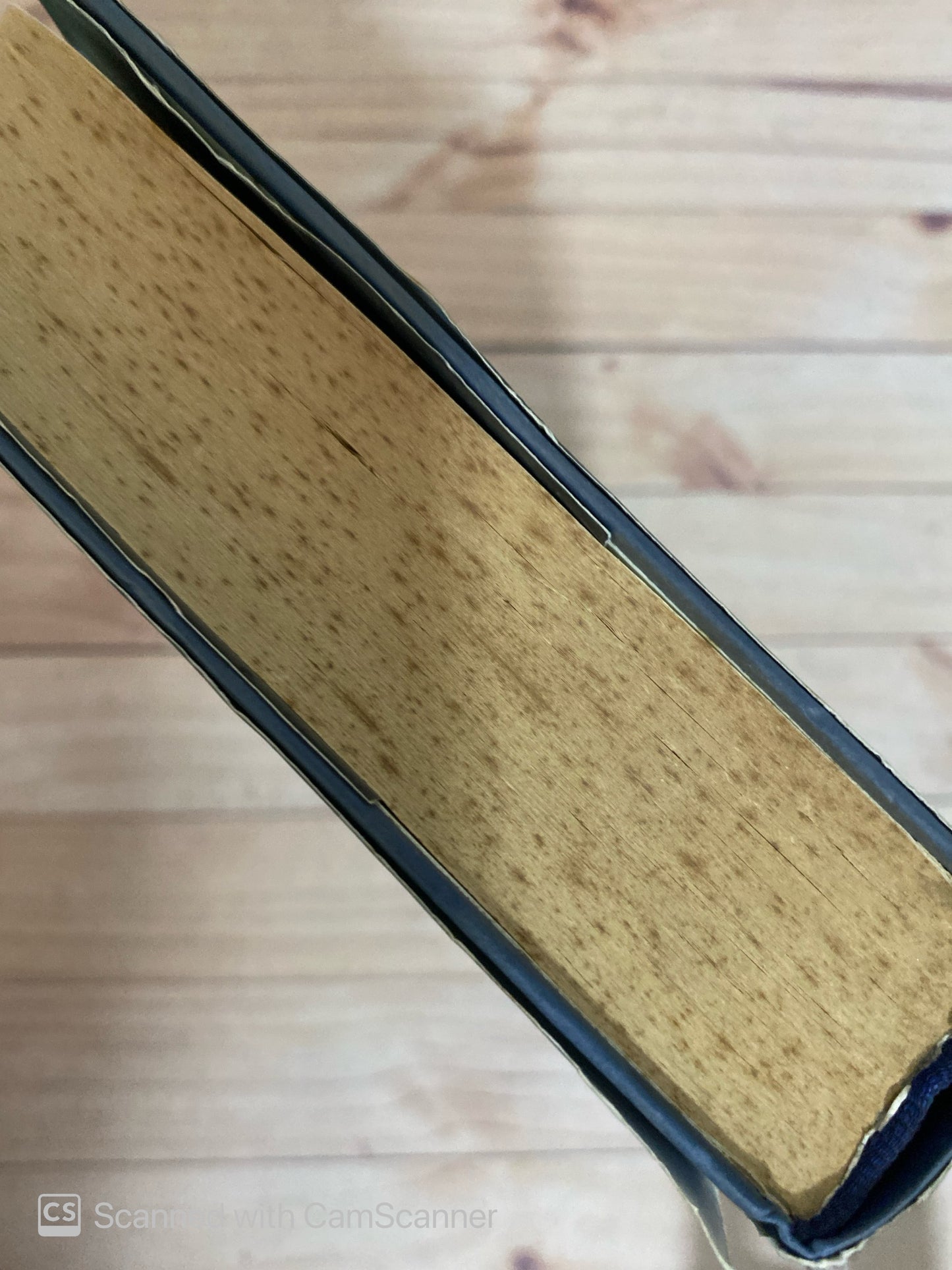 Pasarela de odios | Olivia Goldsmith