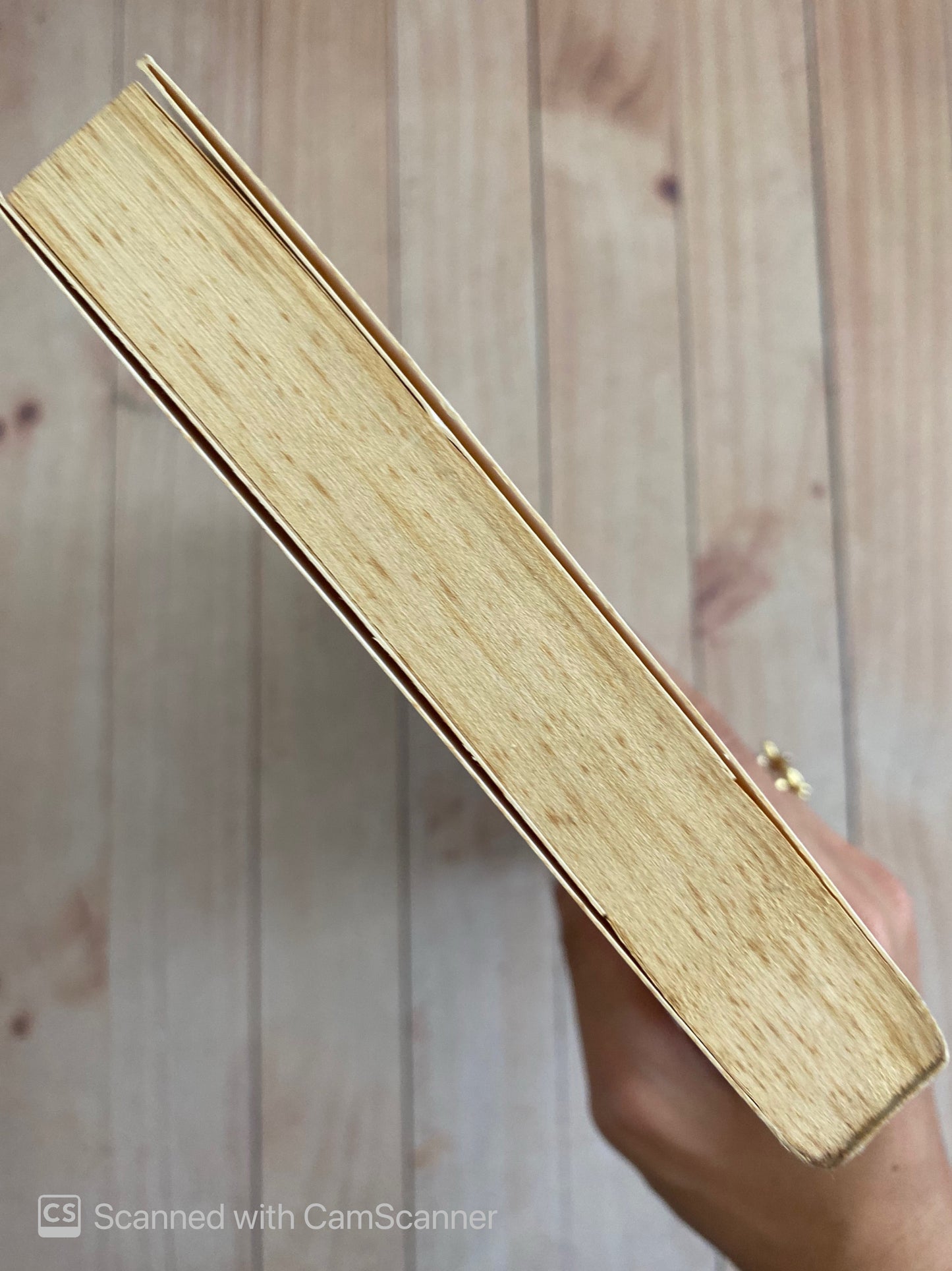 Mac y su contratiempo | Enrique Viña Matas