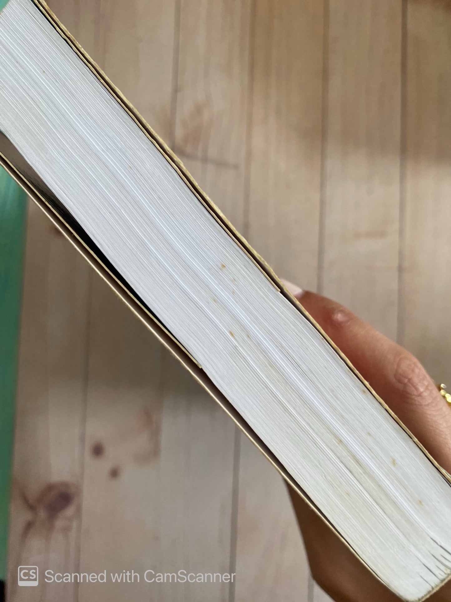 Maze Runner Prueba de fuego | James Dashner