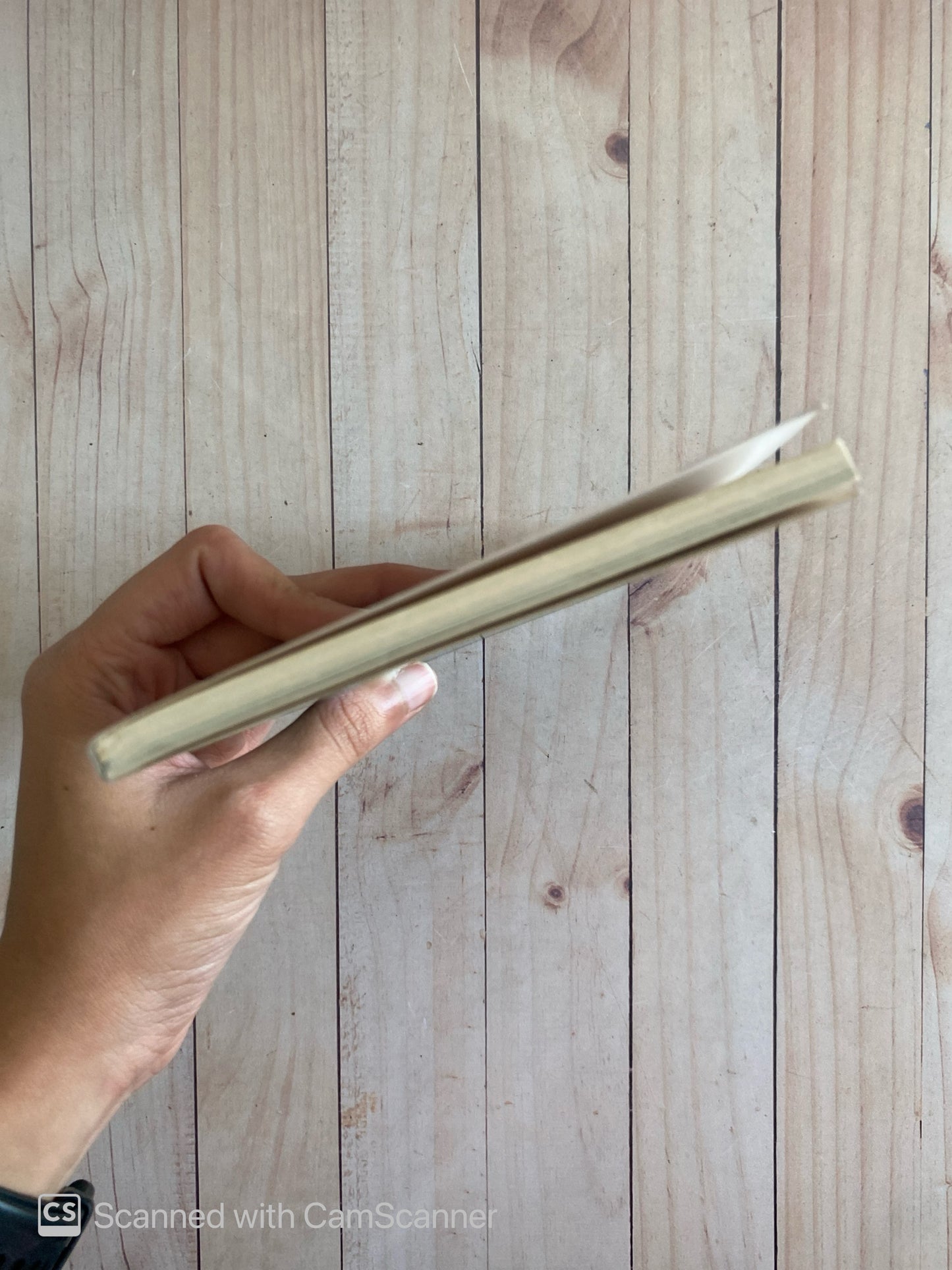 Un tiesto lleno de lápices | Juan Farías