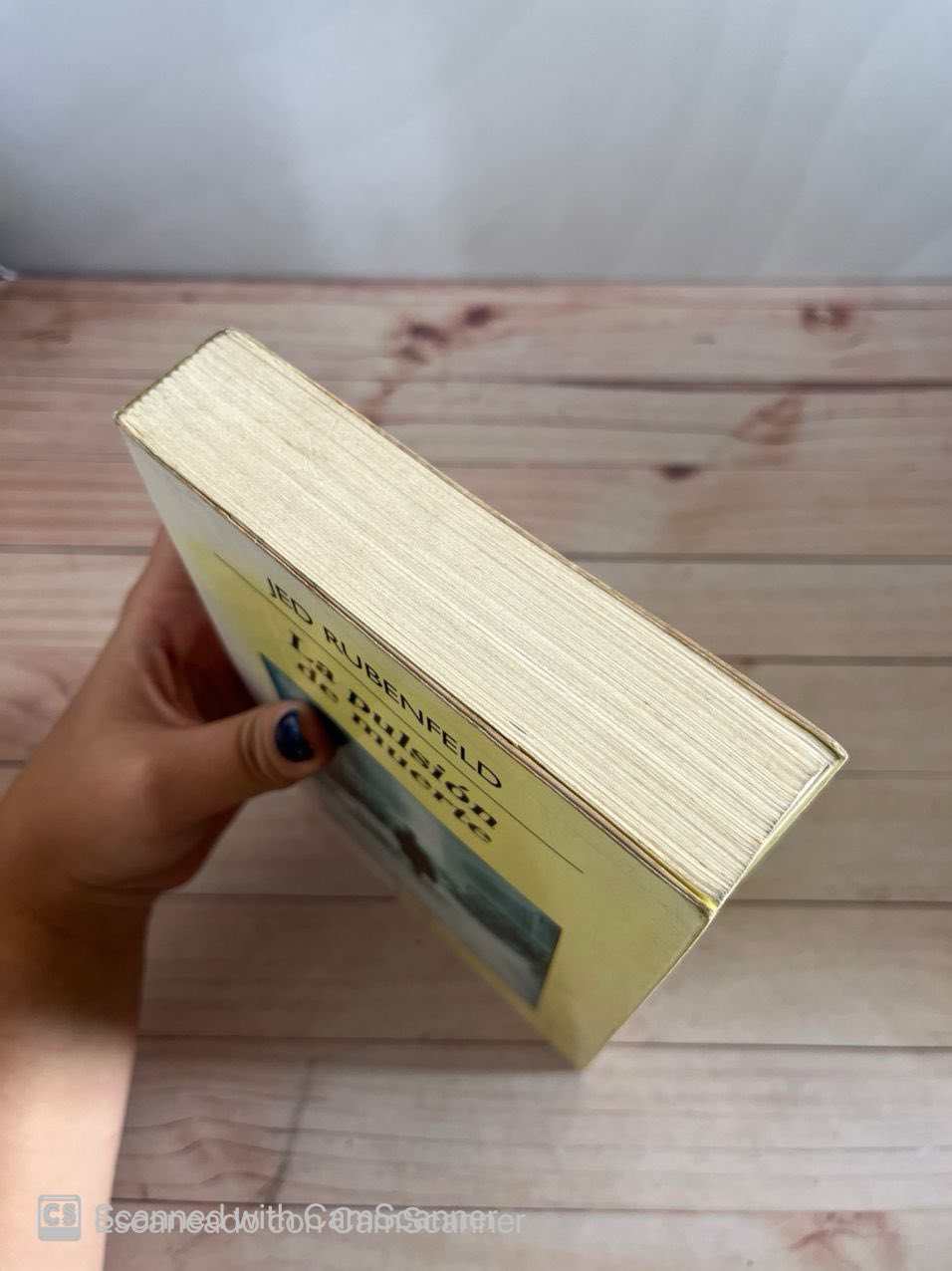 La pulsión de muerte | Jed Rubenfeld