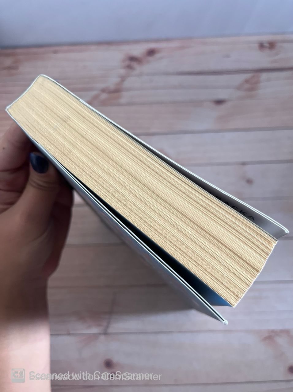 El nido del cuco | Camila Lckberg