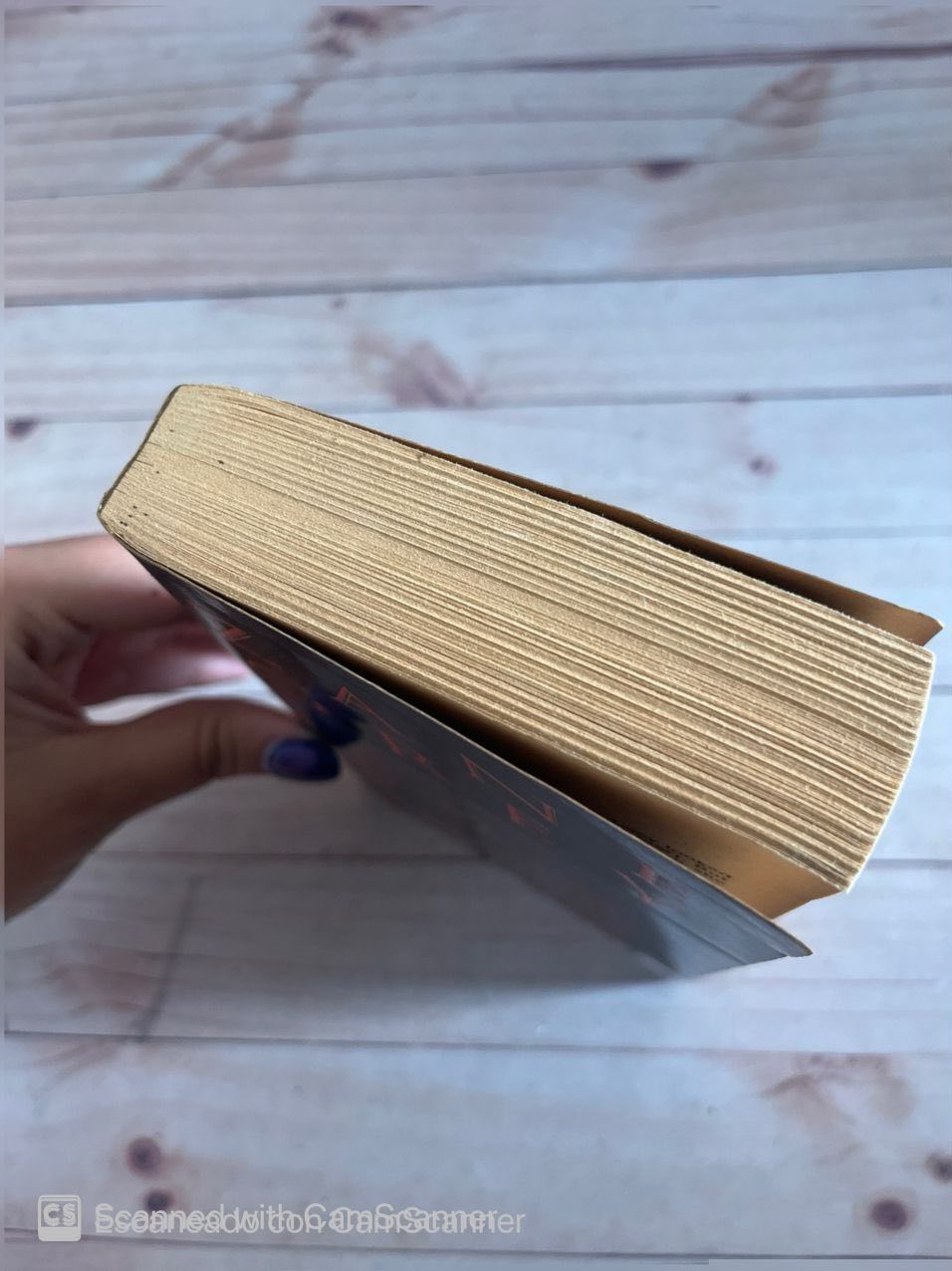 Wildfire | Zane Grey