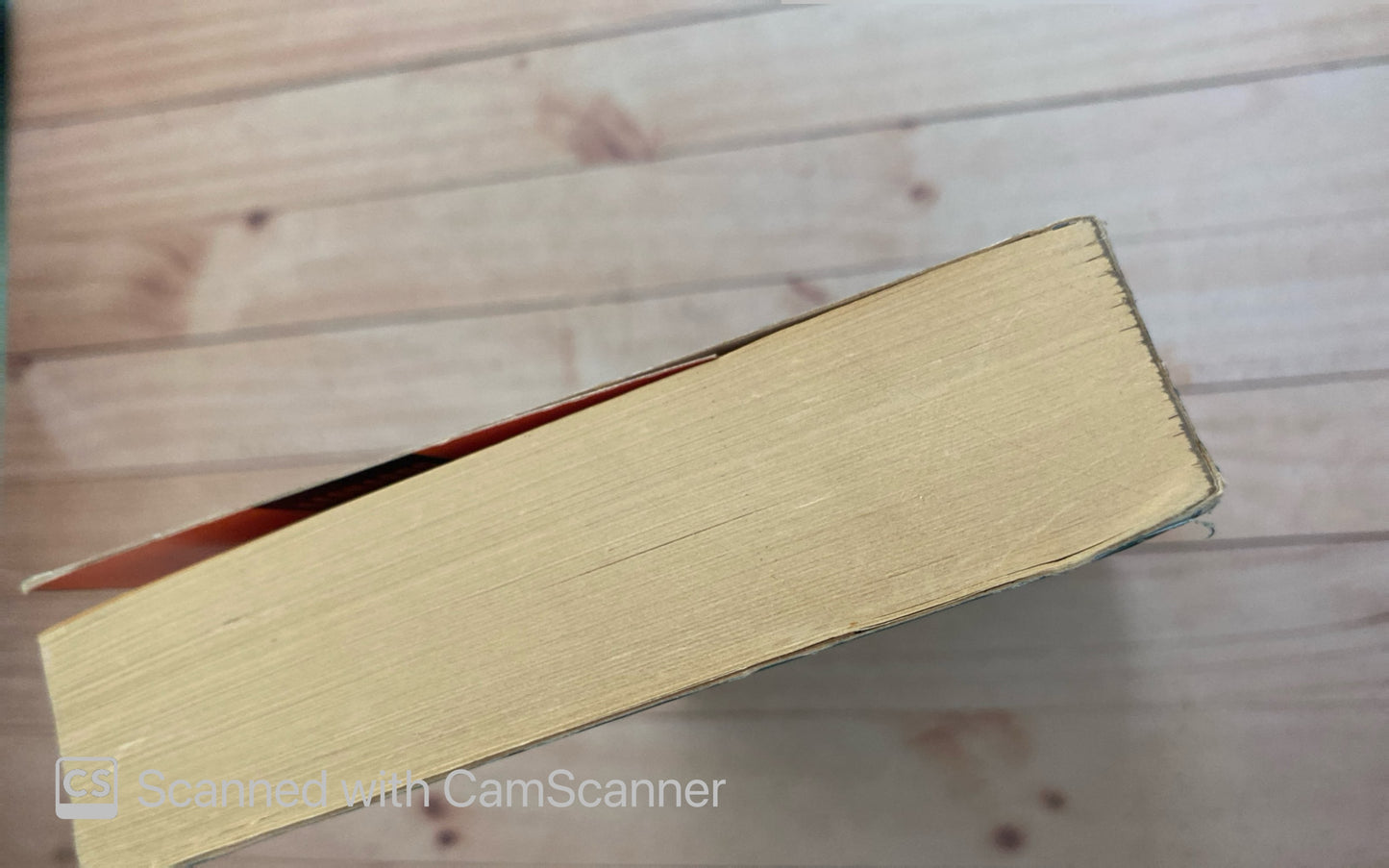 Los imposibles 1 | Leonardo Padrón