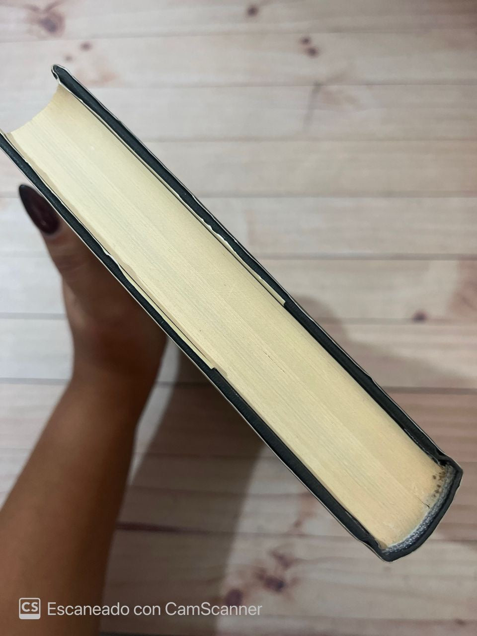 La bibliotecaria | Logan Belle