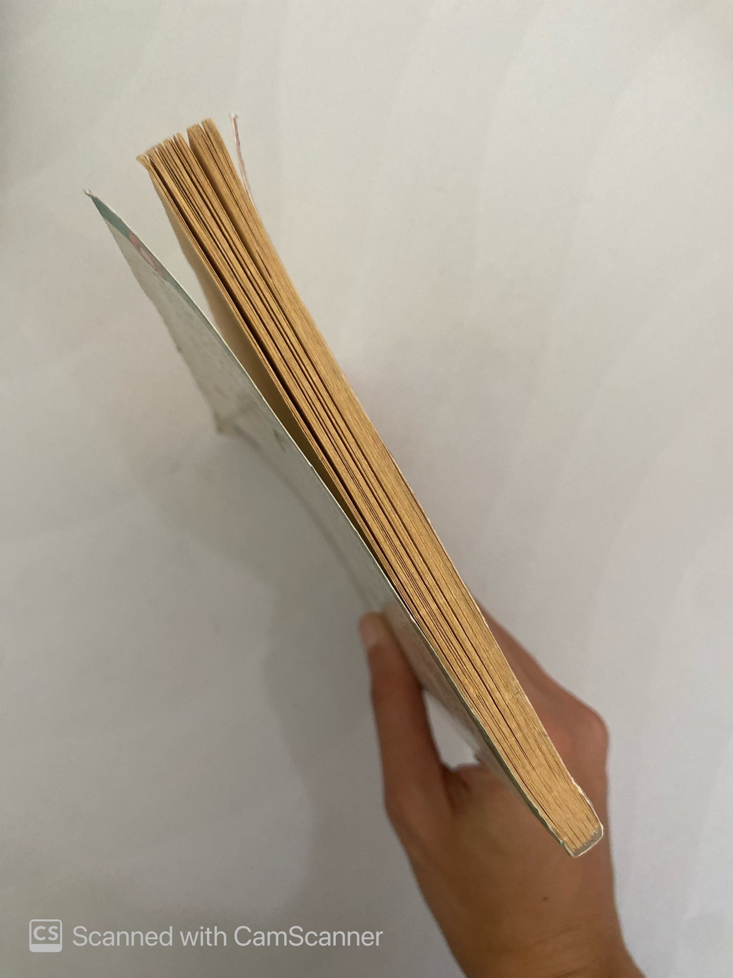 The horse Whisperer | Nicholas evans