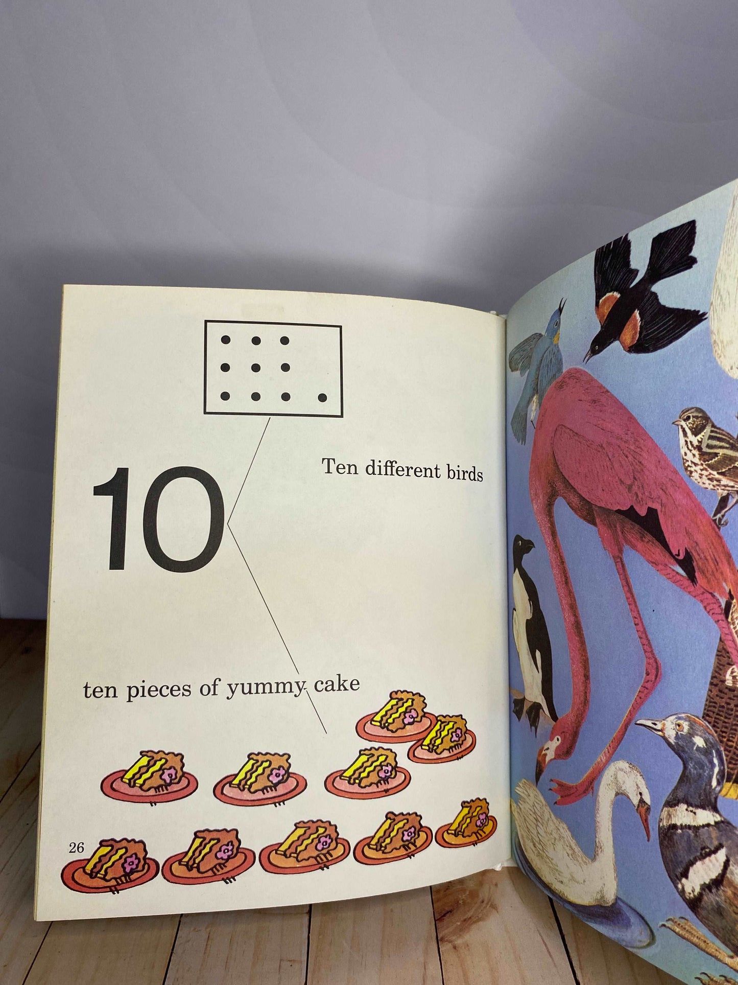 The Numbers Book | Britannica Discovery Library