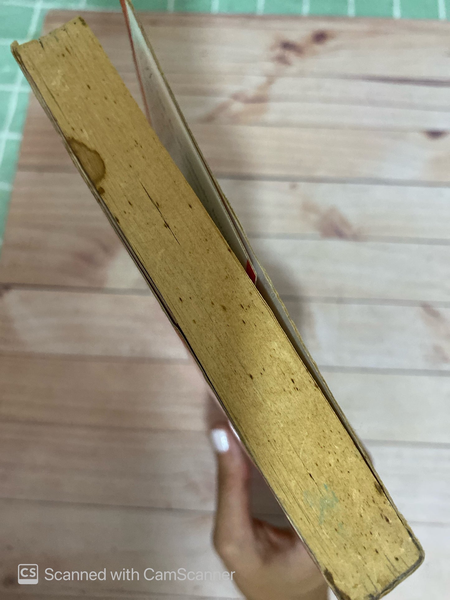 Comprometida | Elizabeth Gilbert