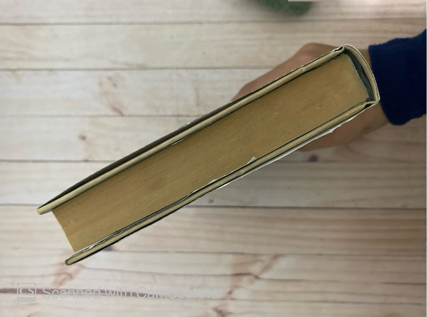 El latido del pájaro | Mo Hayder