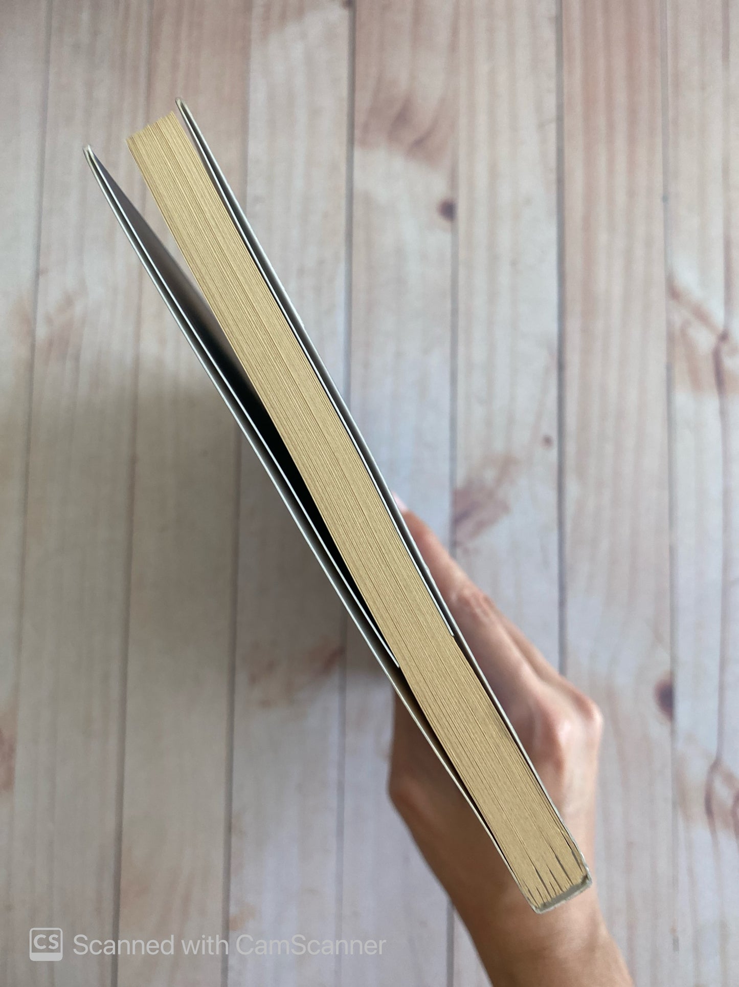 Las aventuras de doña despiste