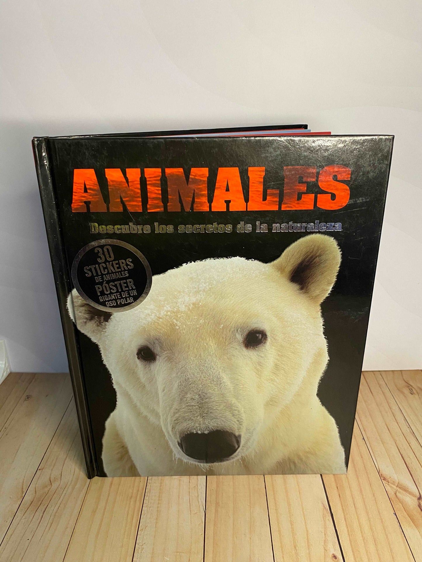 Animales: Descubre los secretos de la naturaleza