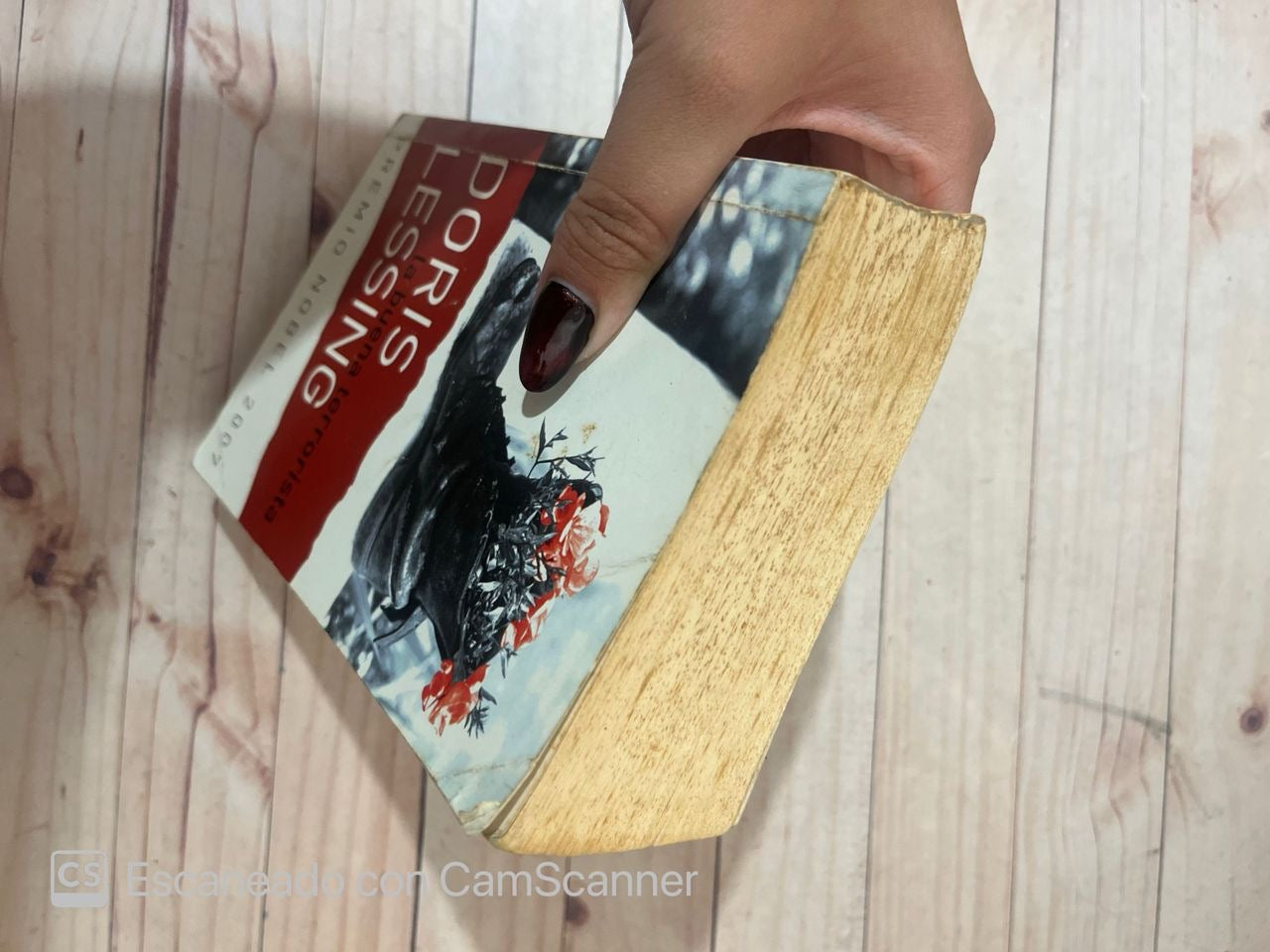 La buena terrorista | Doris Lessing