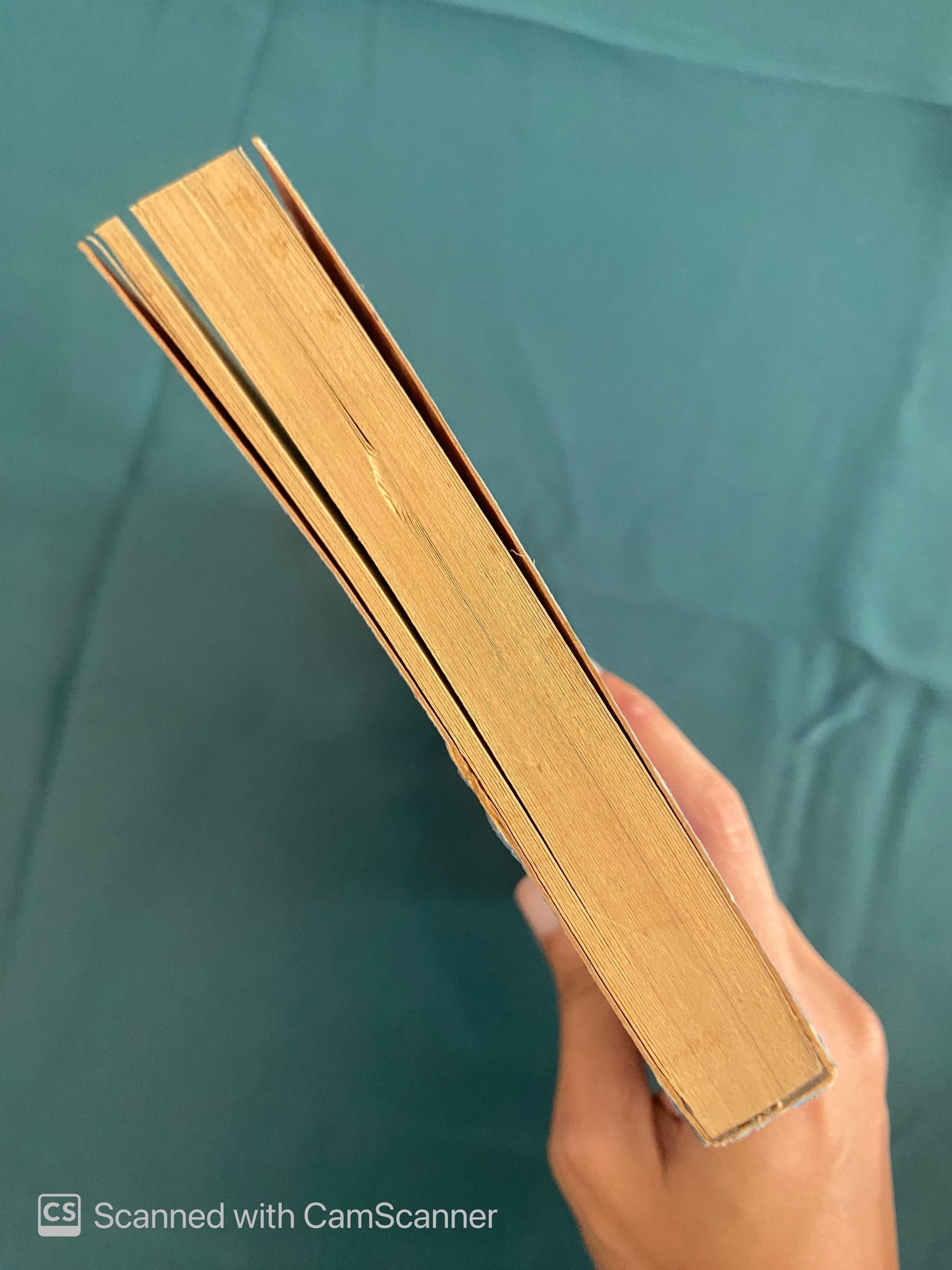 Velazquez | Juan A.Gaya Nuño