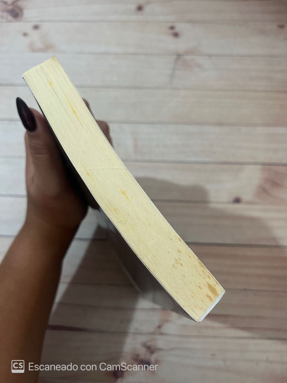 El mesías: el niño judío | Anne Rice