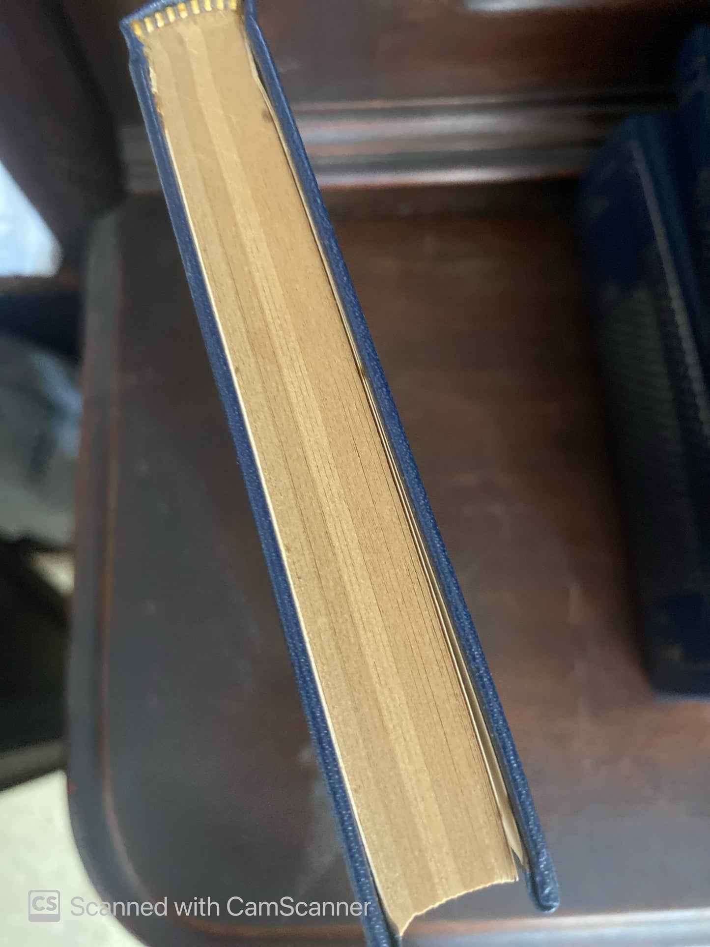 Y enseguida anochece y otros poemas | Salvatore Quasimodo