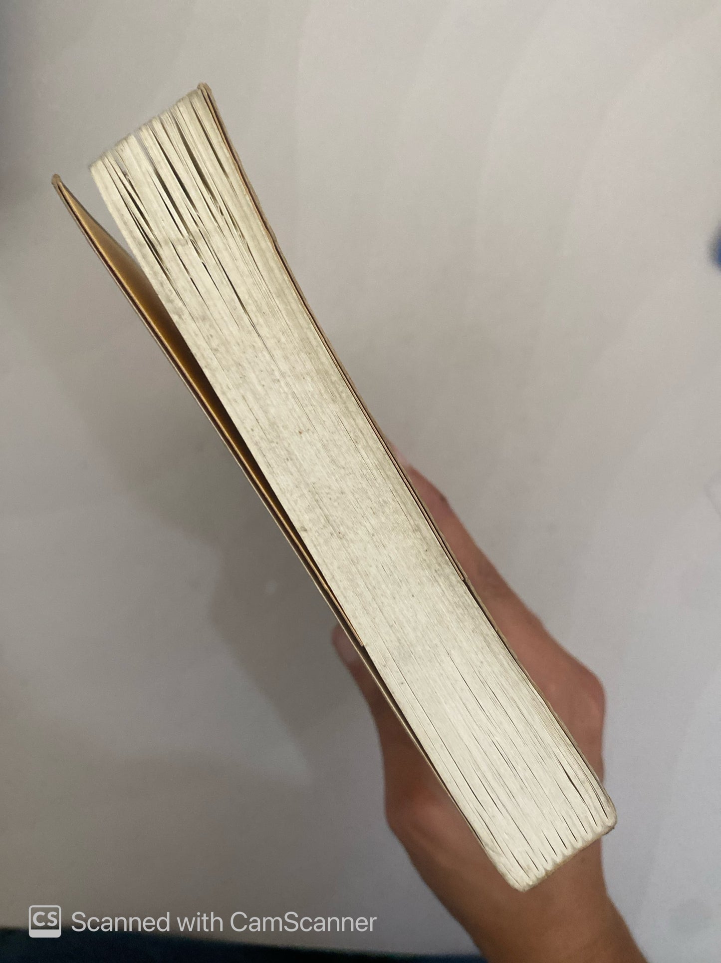 El libro de la felicidad |Ramiro A. Caile