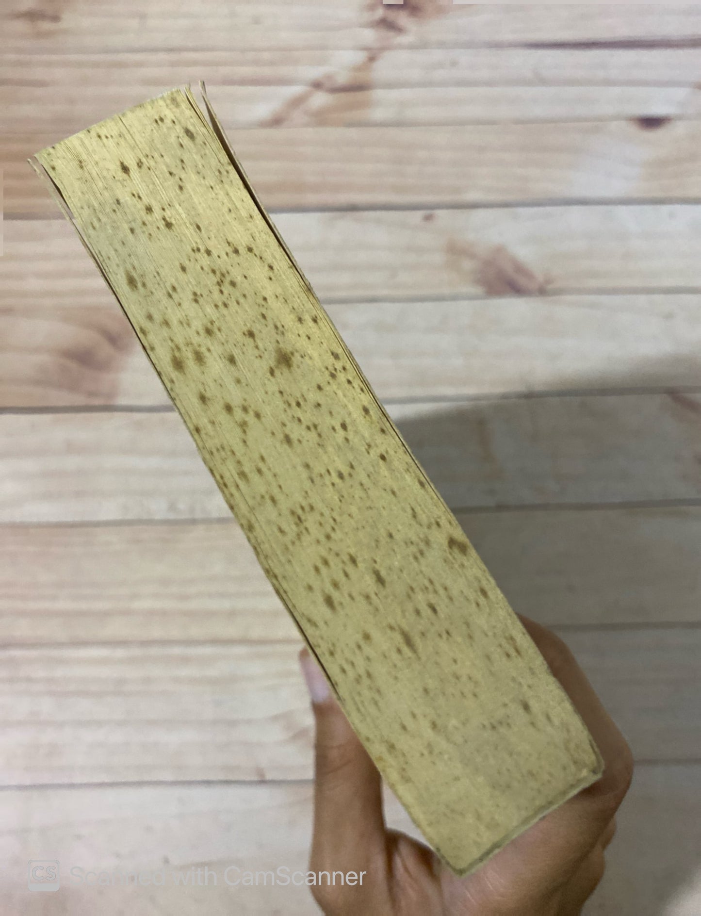 Cartas de la cárcel | Louis Ferdinand Céline