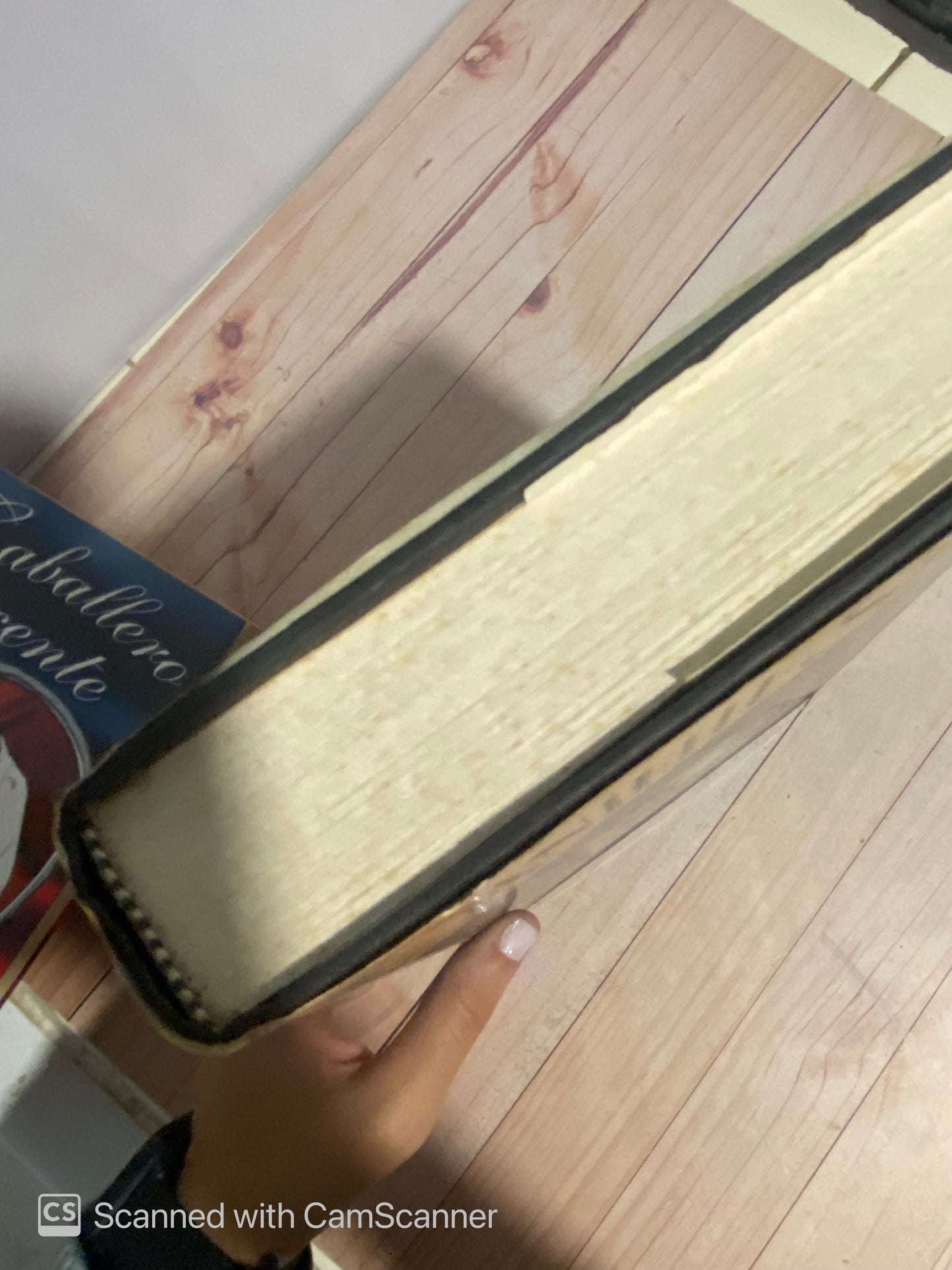 Mirror image | Danielle Steel