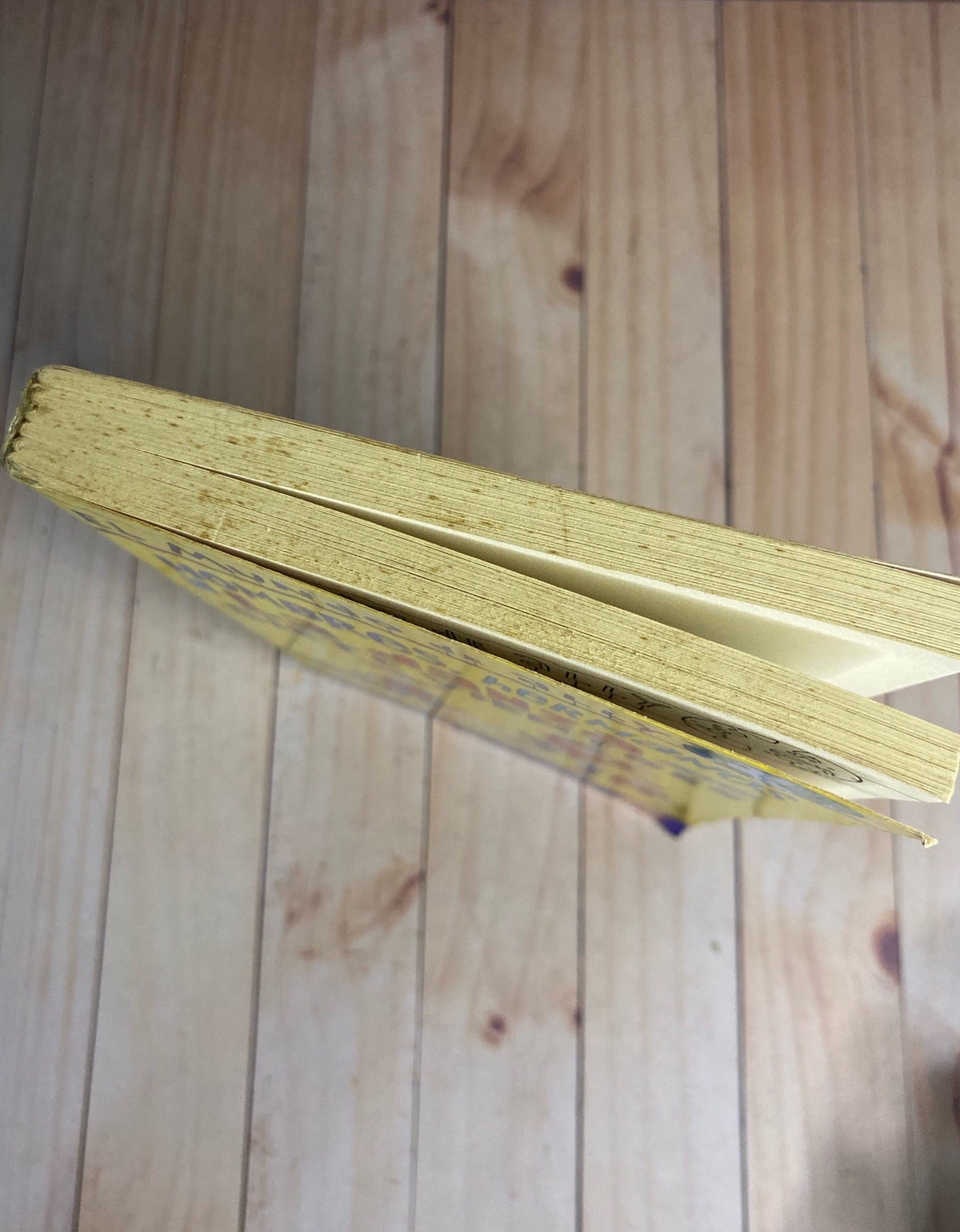 Hombres, hermanos y la danza de los siete vientres | Karen Mc Combie