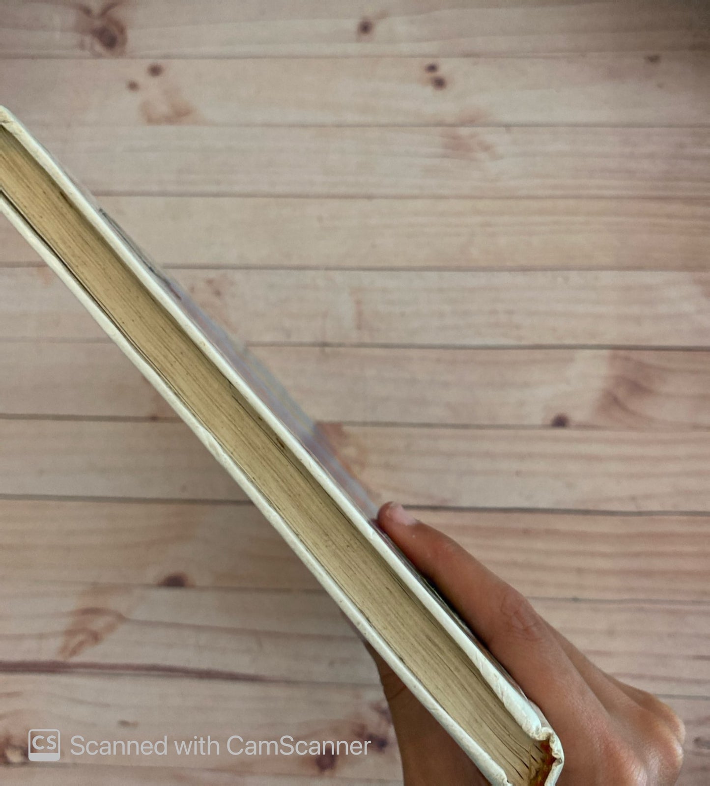 366... y más cuentos