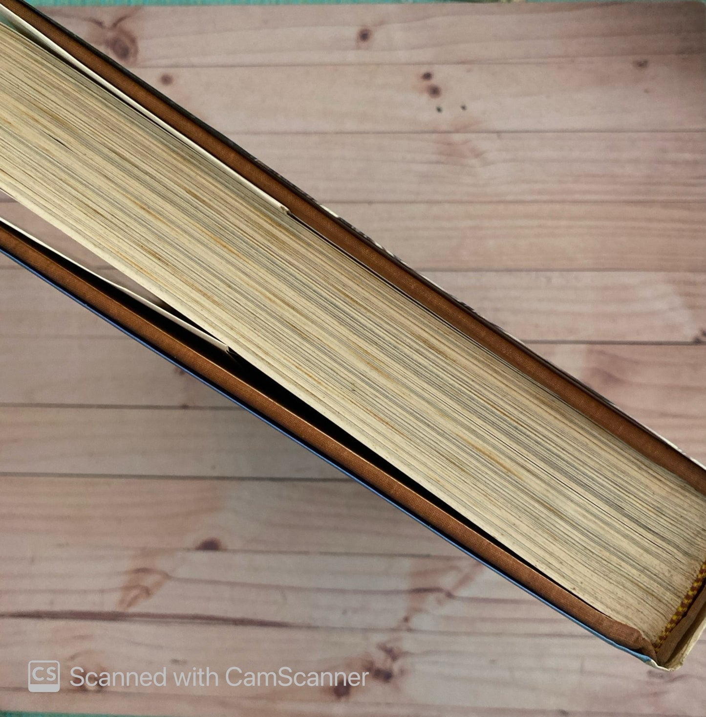 El vaticano y roma cristiana