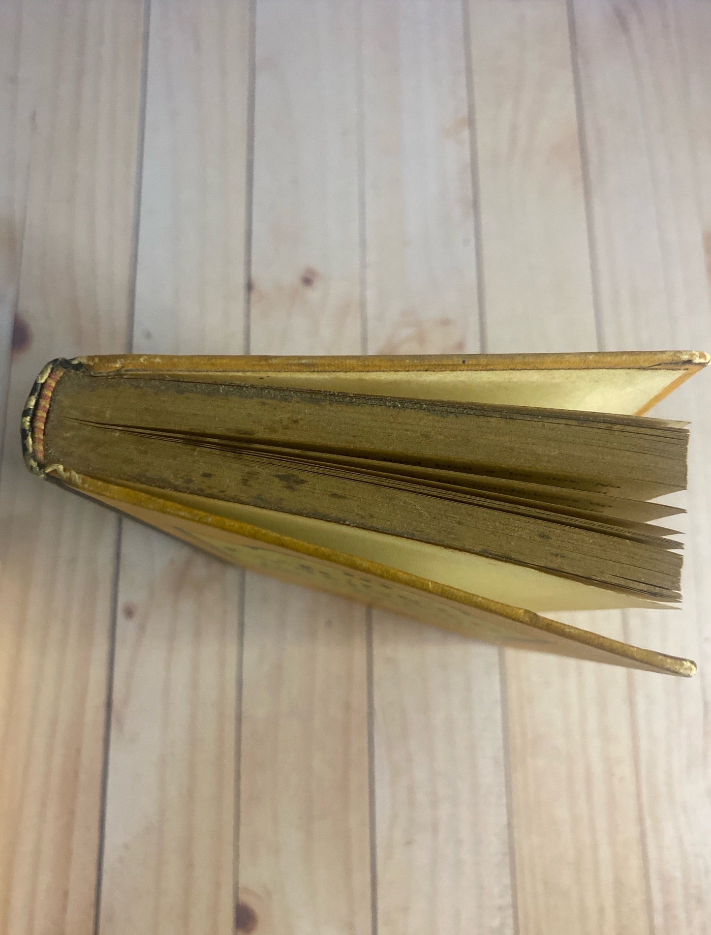 Modelo para armar | Julio Cortazar