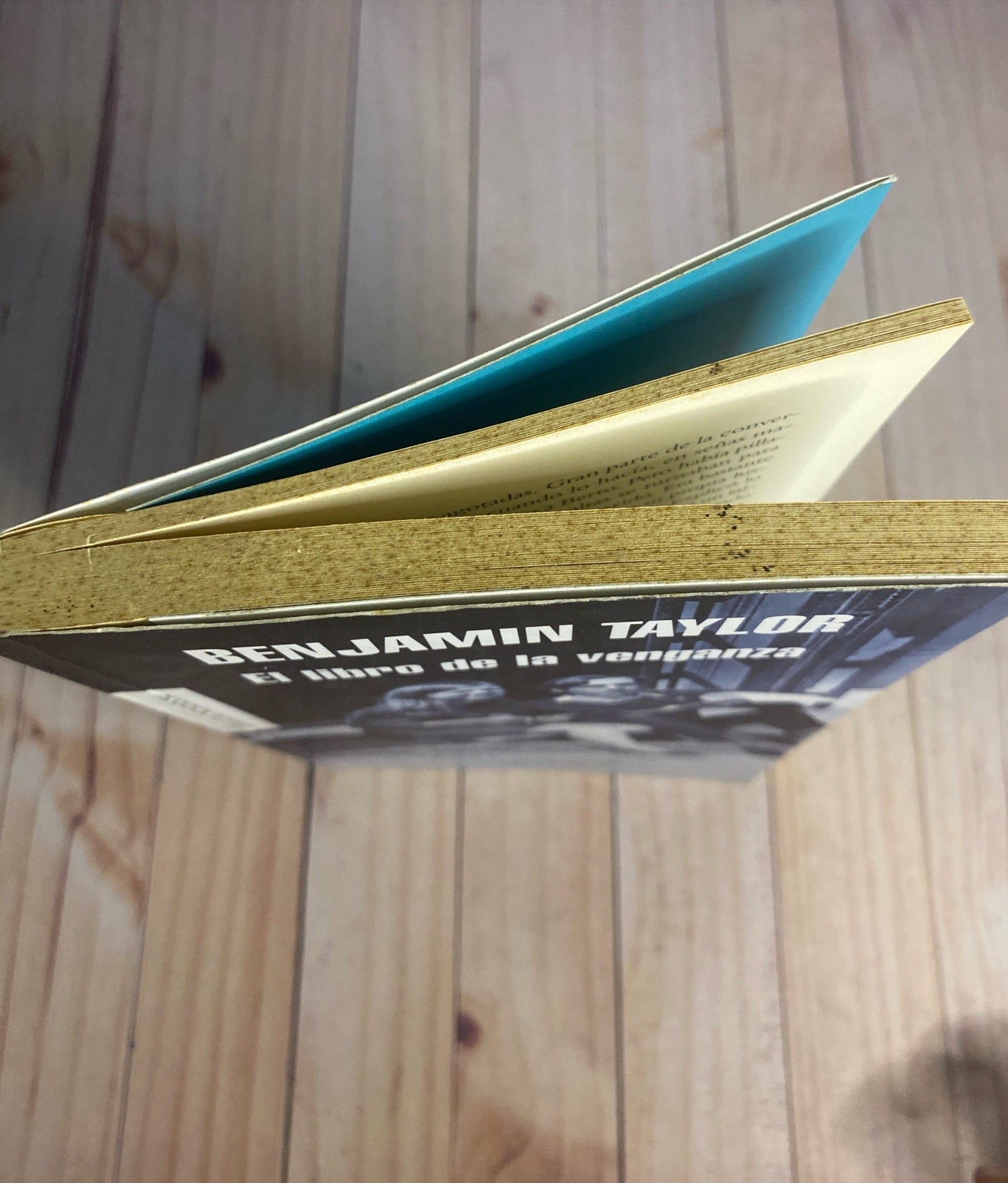 El libro de la venganza | Benjamin Taylor