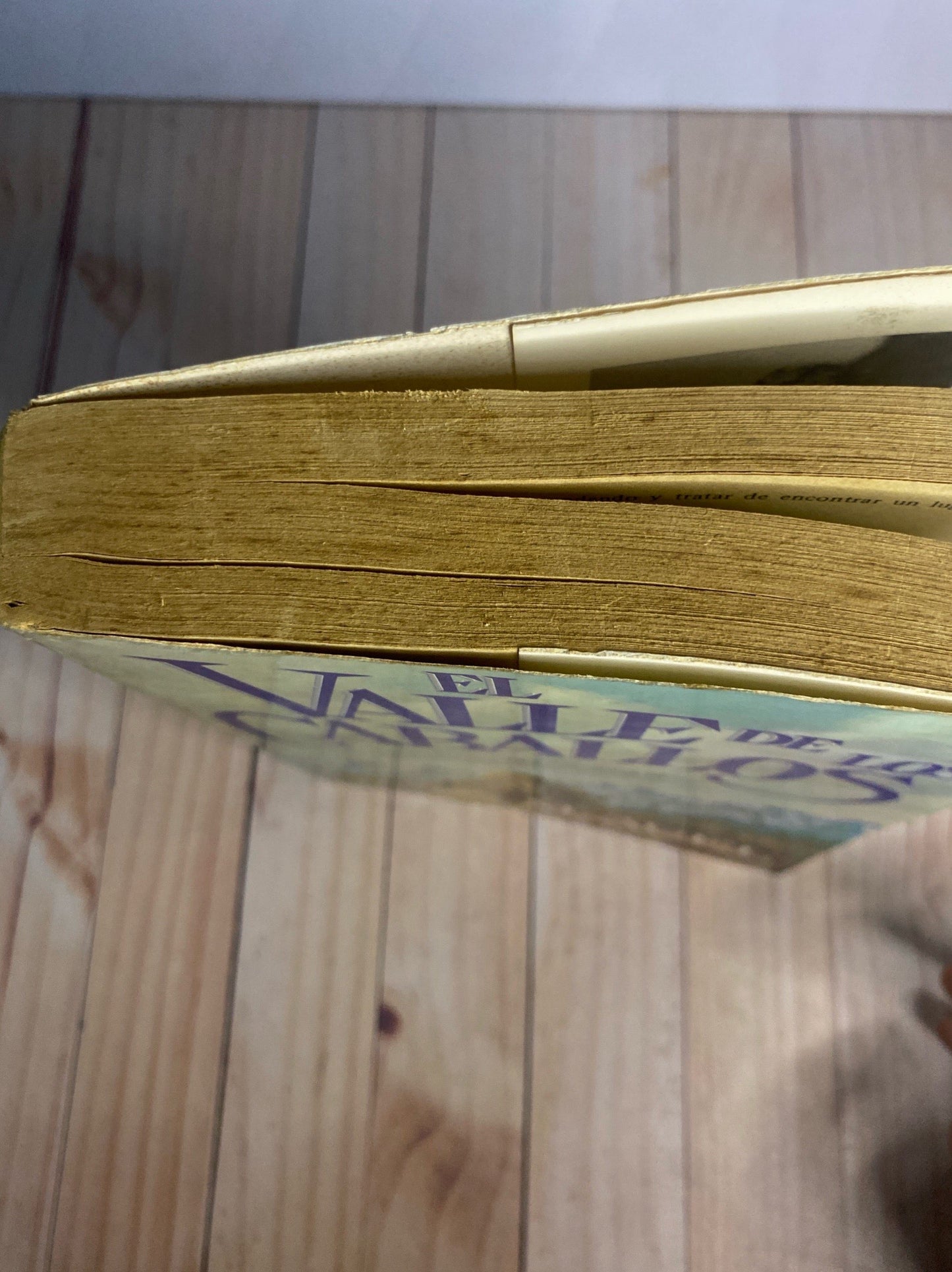 Los hijos de la tierra 2: El valle de los caballos | Jean M.Auel