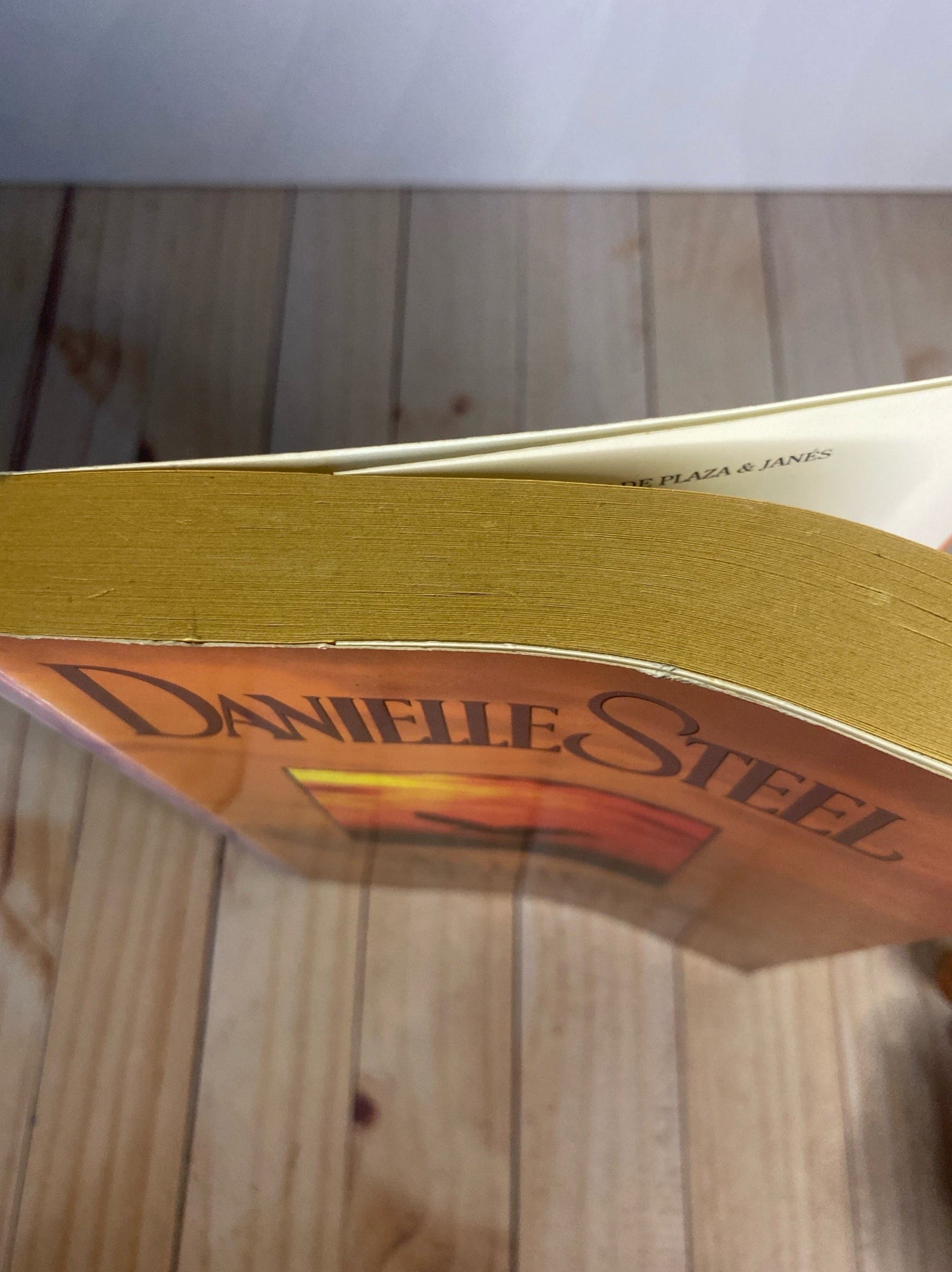 Águila Solitaria | Danielle Steel