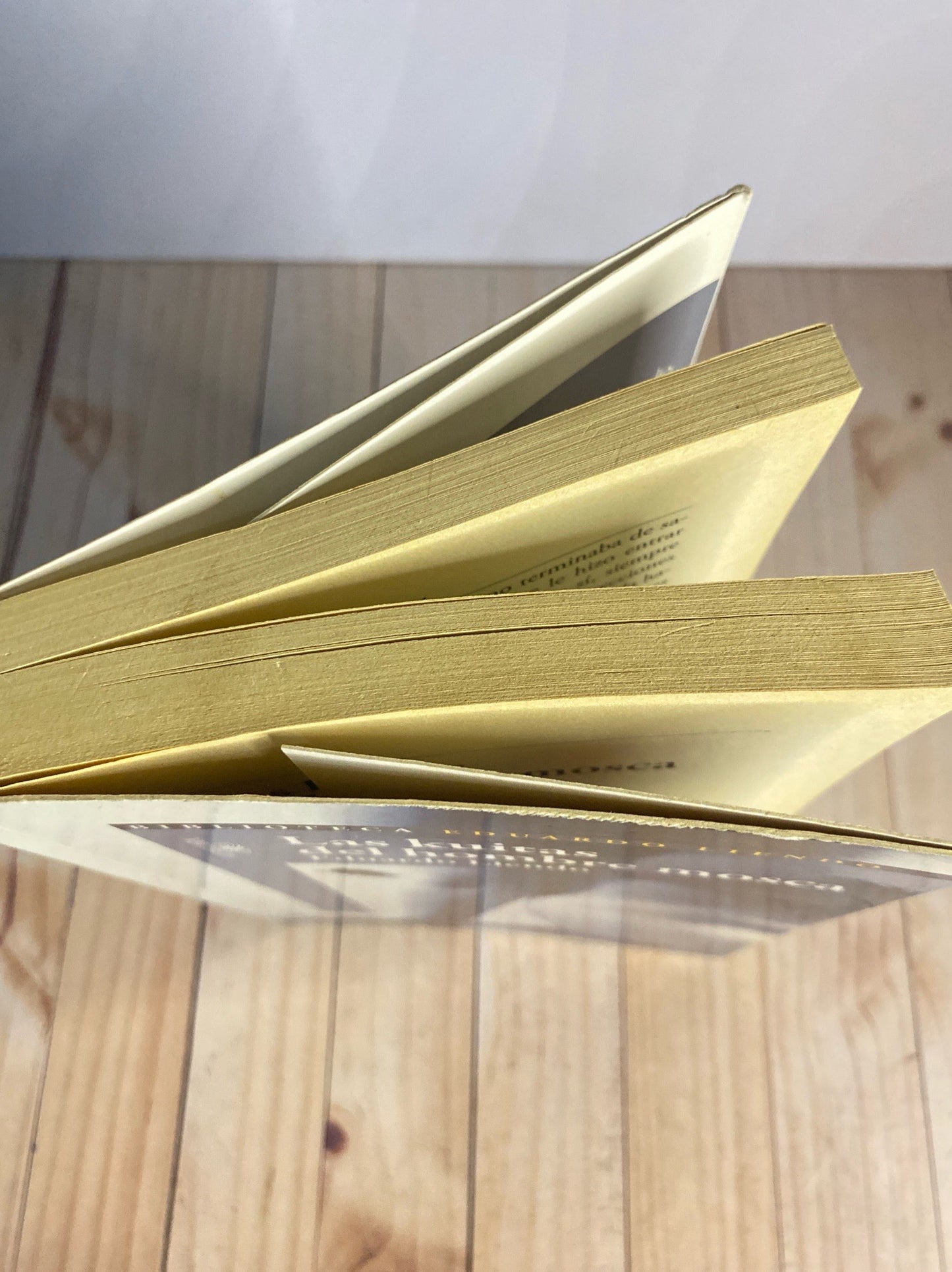 Las kuitas del hombre mosca | Eduardo Liendo