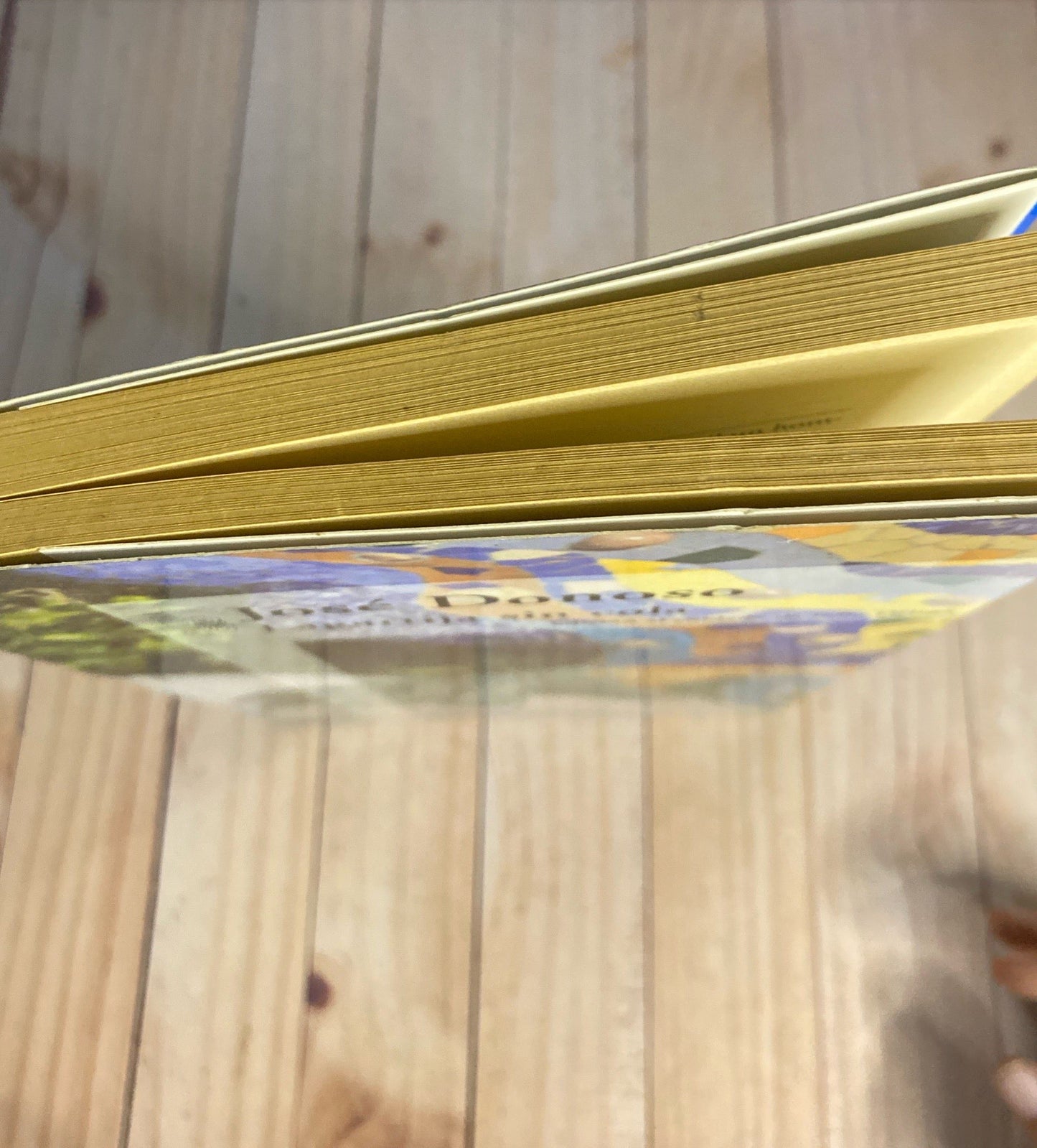 Lagartija sin cola | José Donoso