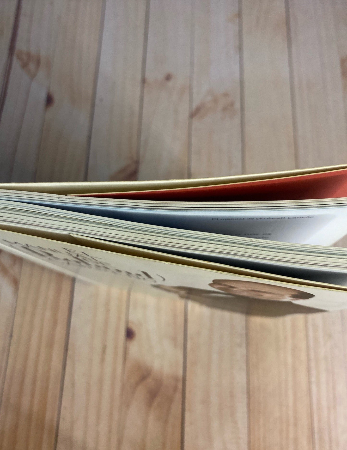 El manual de Roland Carreño