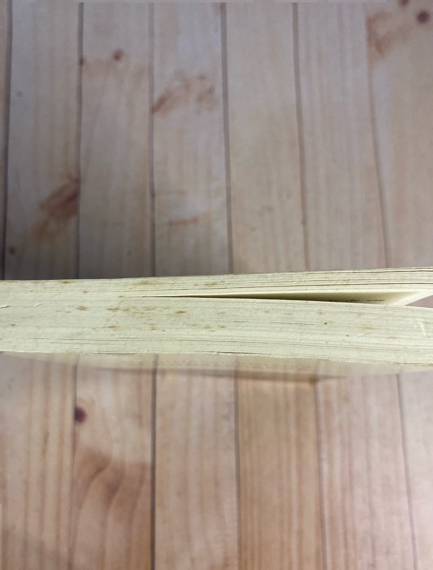 El conservador | Nadine Gordimer