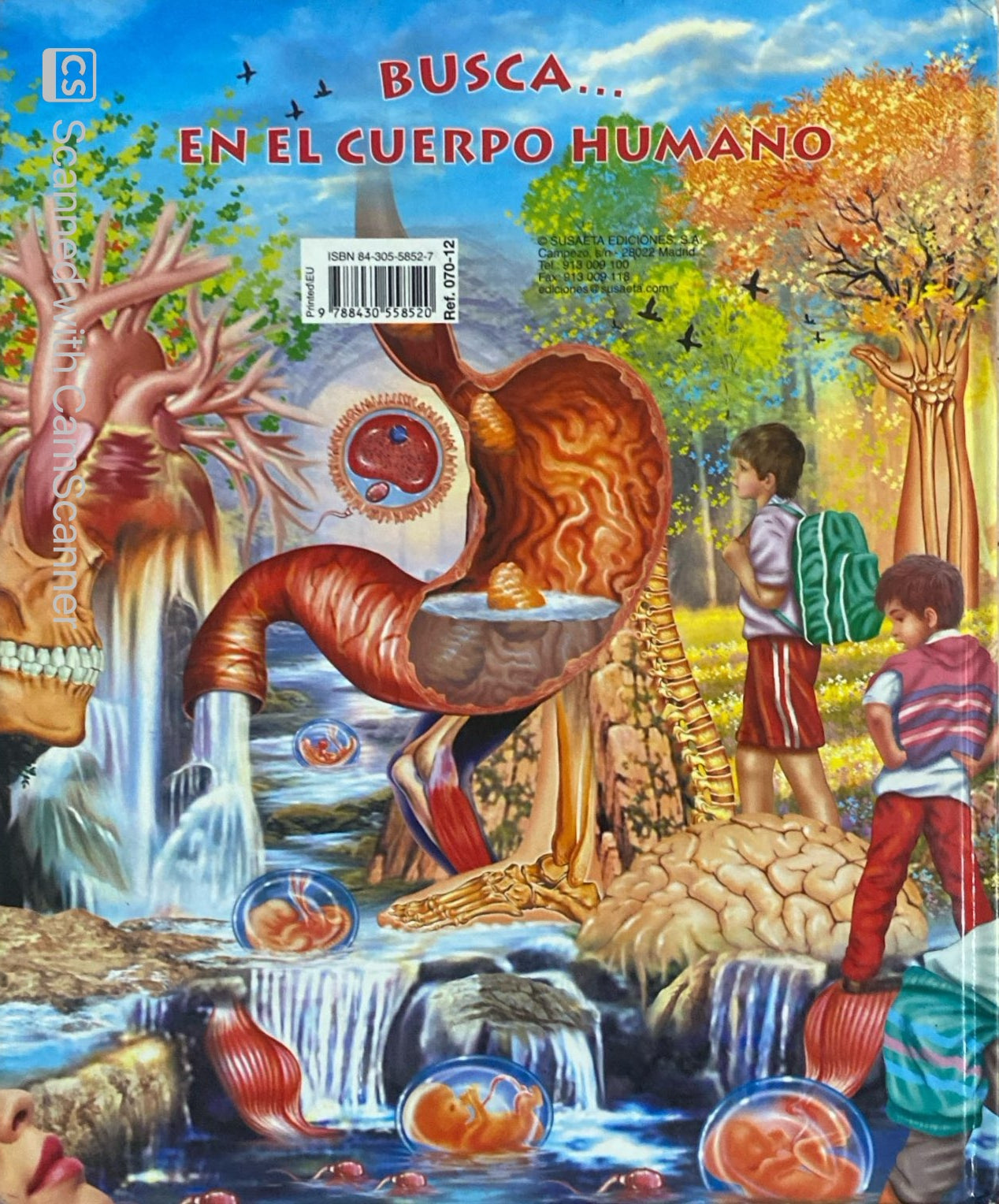 Busca en el cuerpo humano