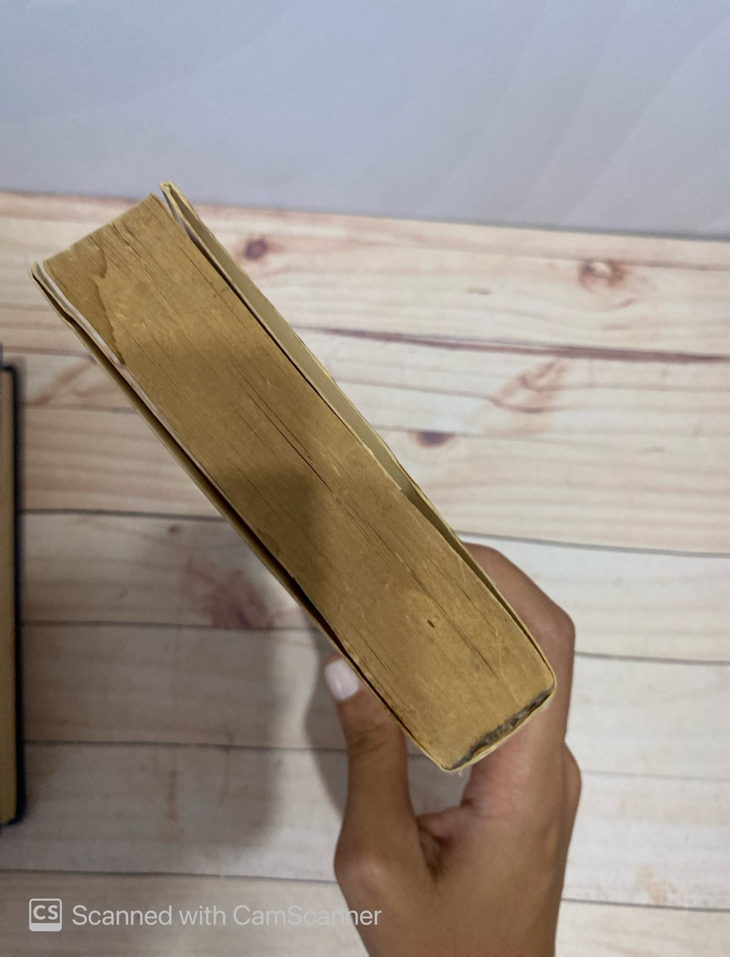 El ente | Frank De Felitta