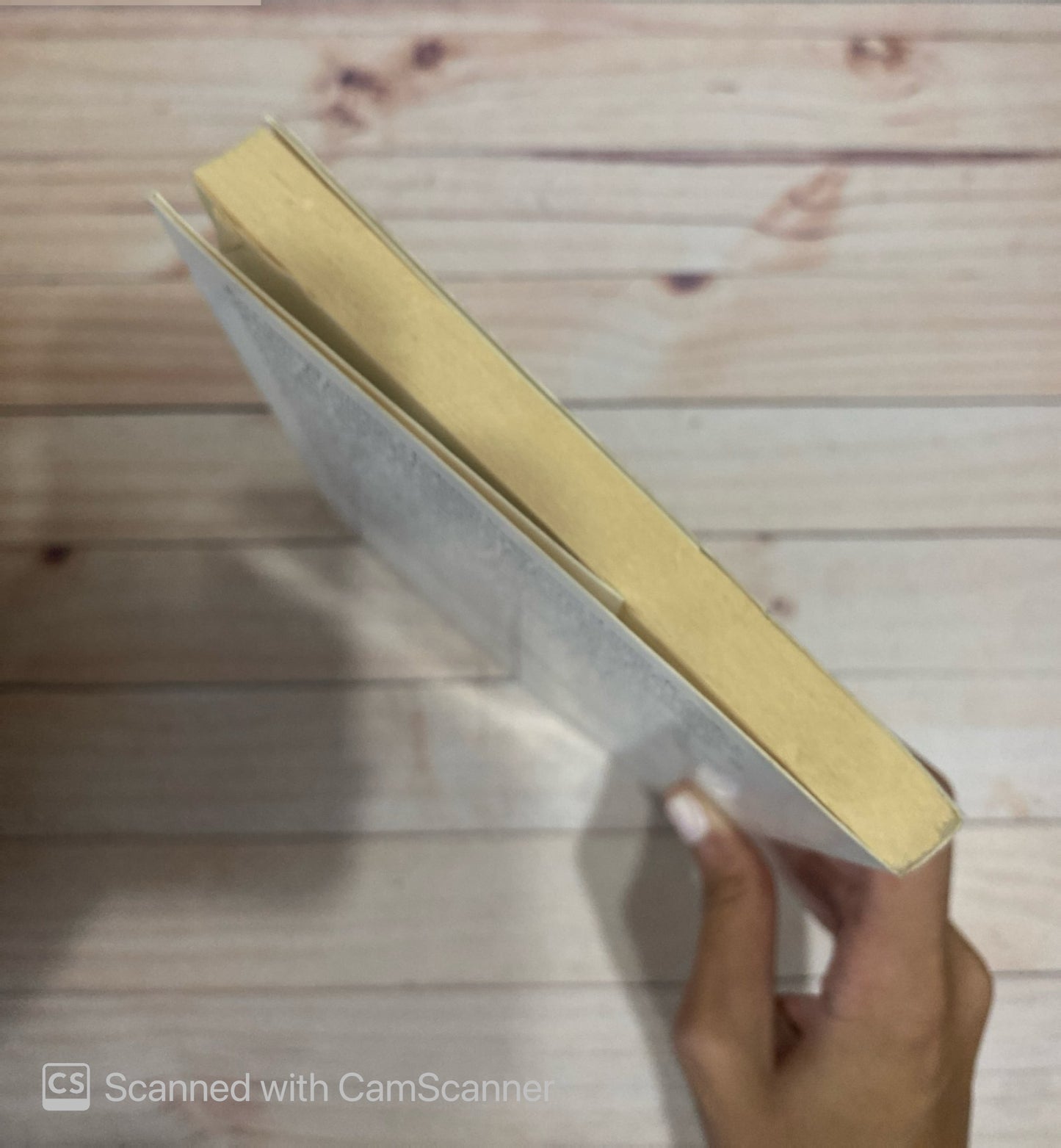 El buen esposo | Federico Vegas