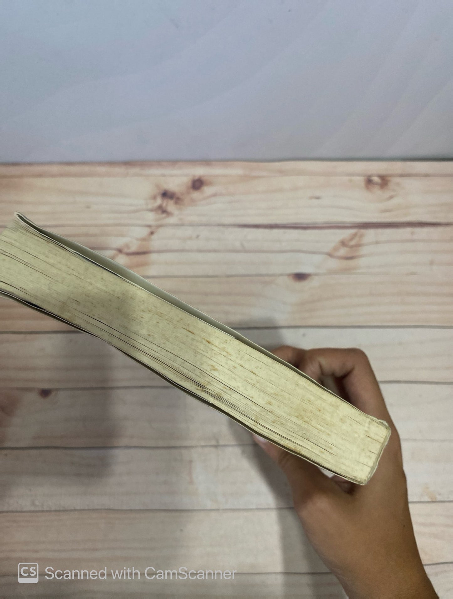 ¿Arde nueva York? | Dominique Lapierre & Larry Collins