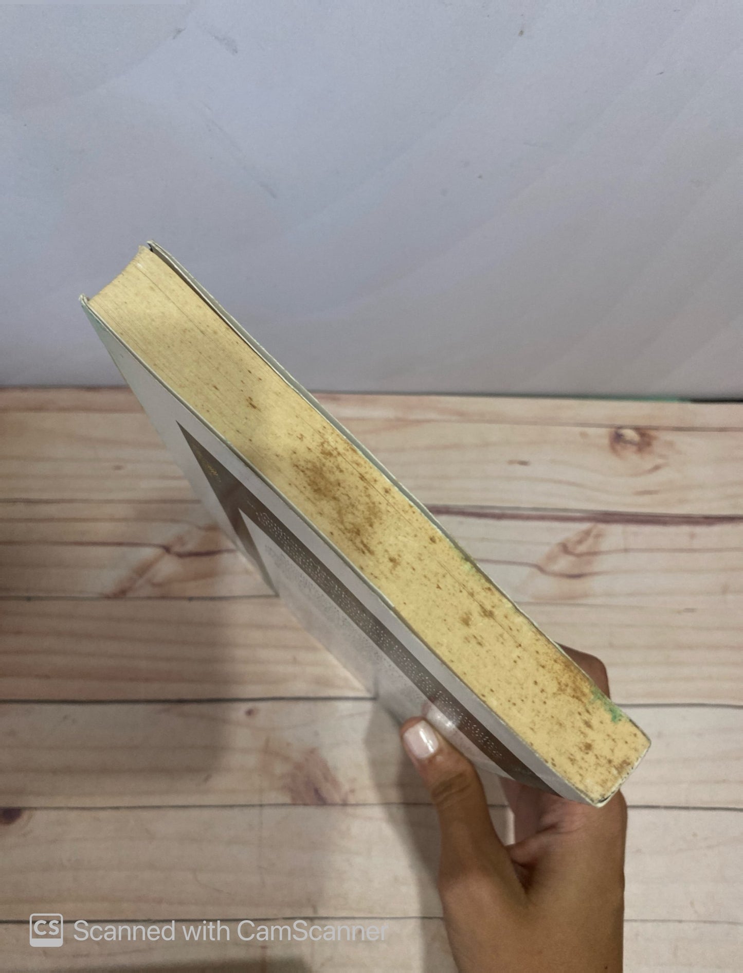 Close Up | Armando Coll