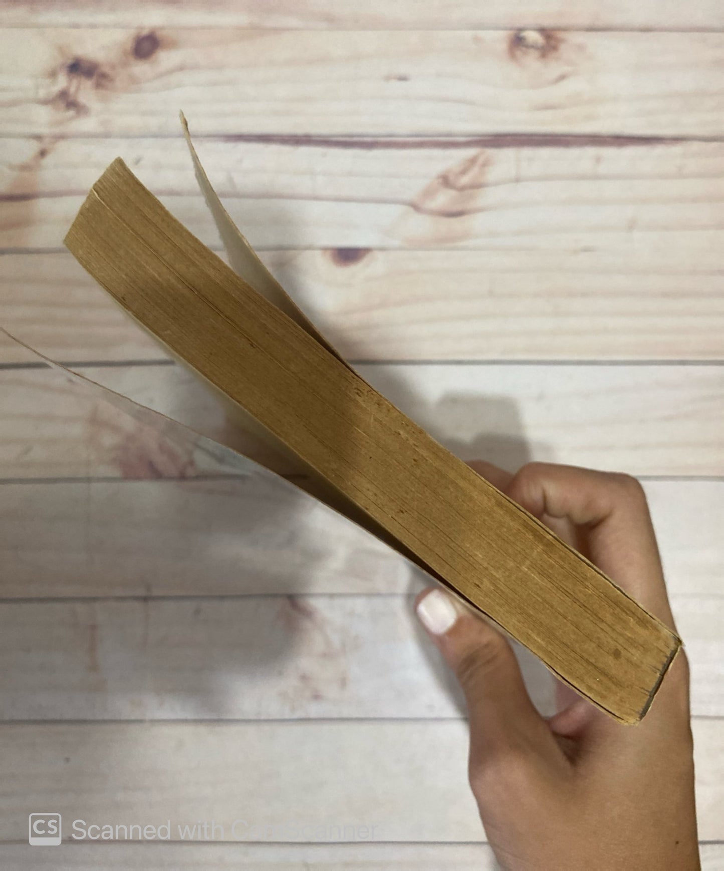 El viejo vecindario | Avery Corman