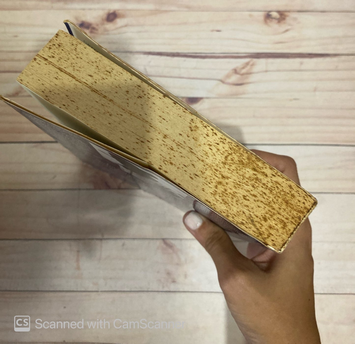 Grito de guerra | Leon Uris