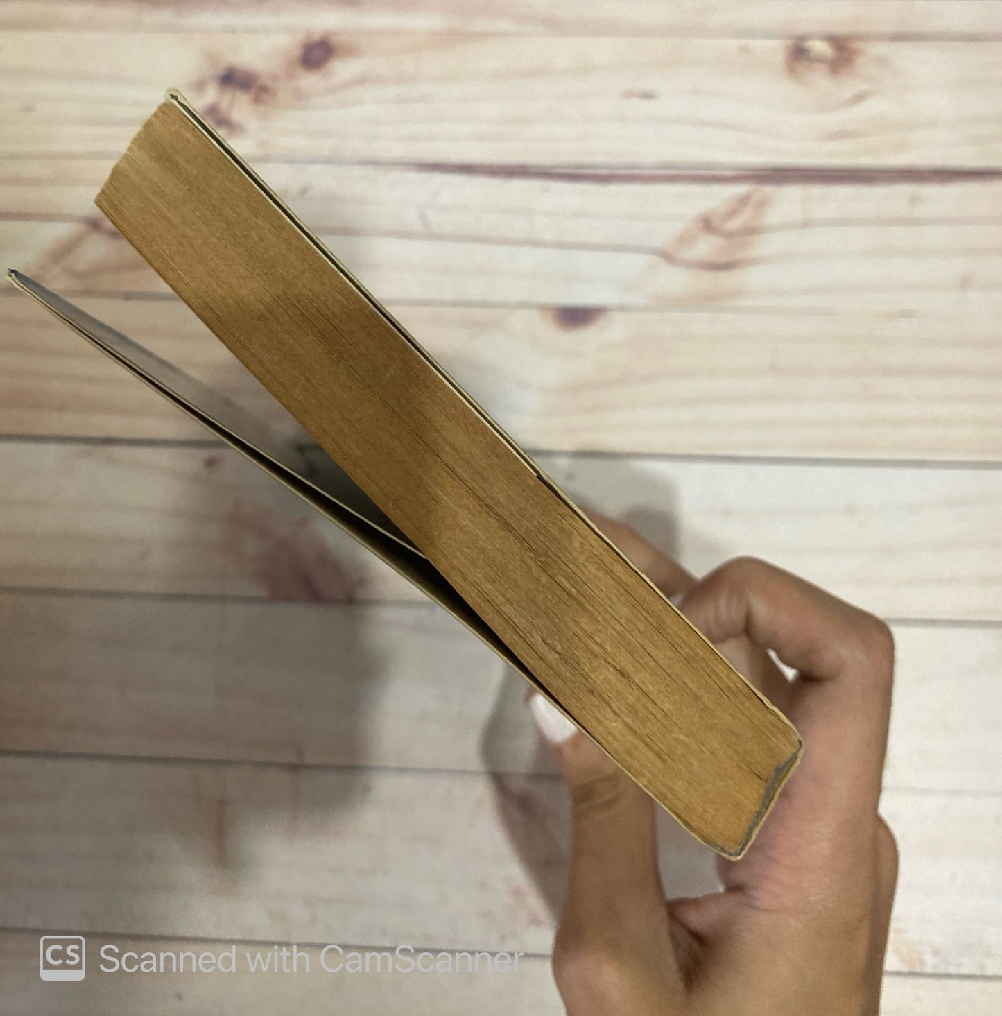 Conexión latina | Nicholas Horrock