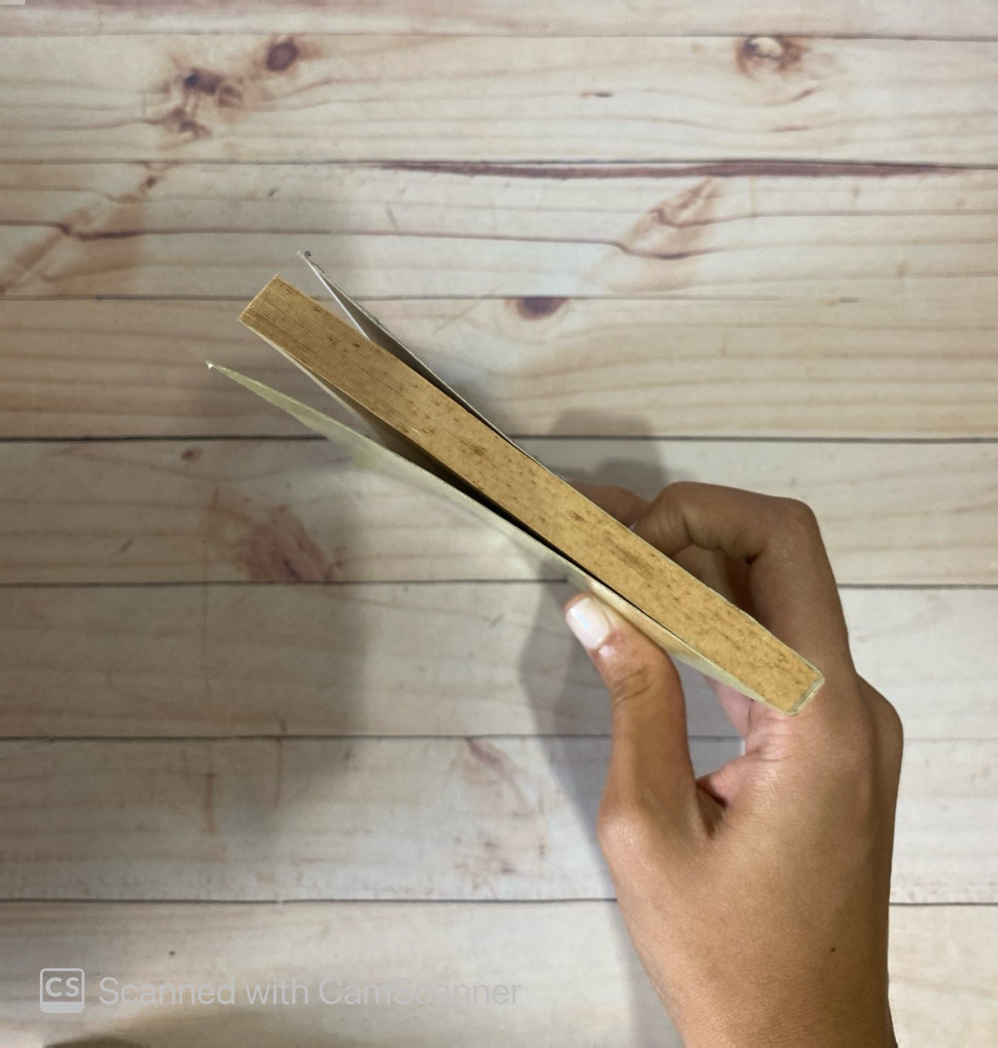 ¿Qué es el tercer estado ? | Emmanuel Sieyes