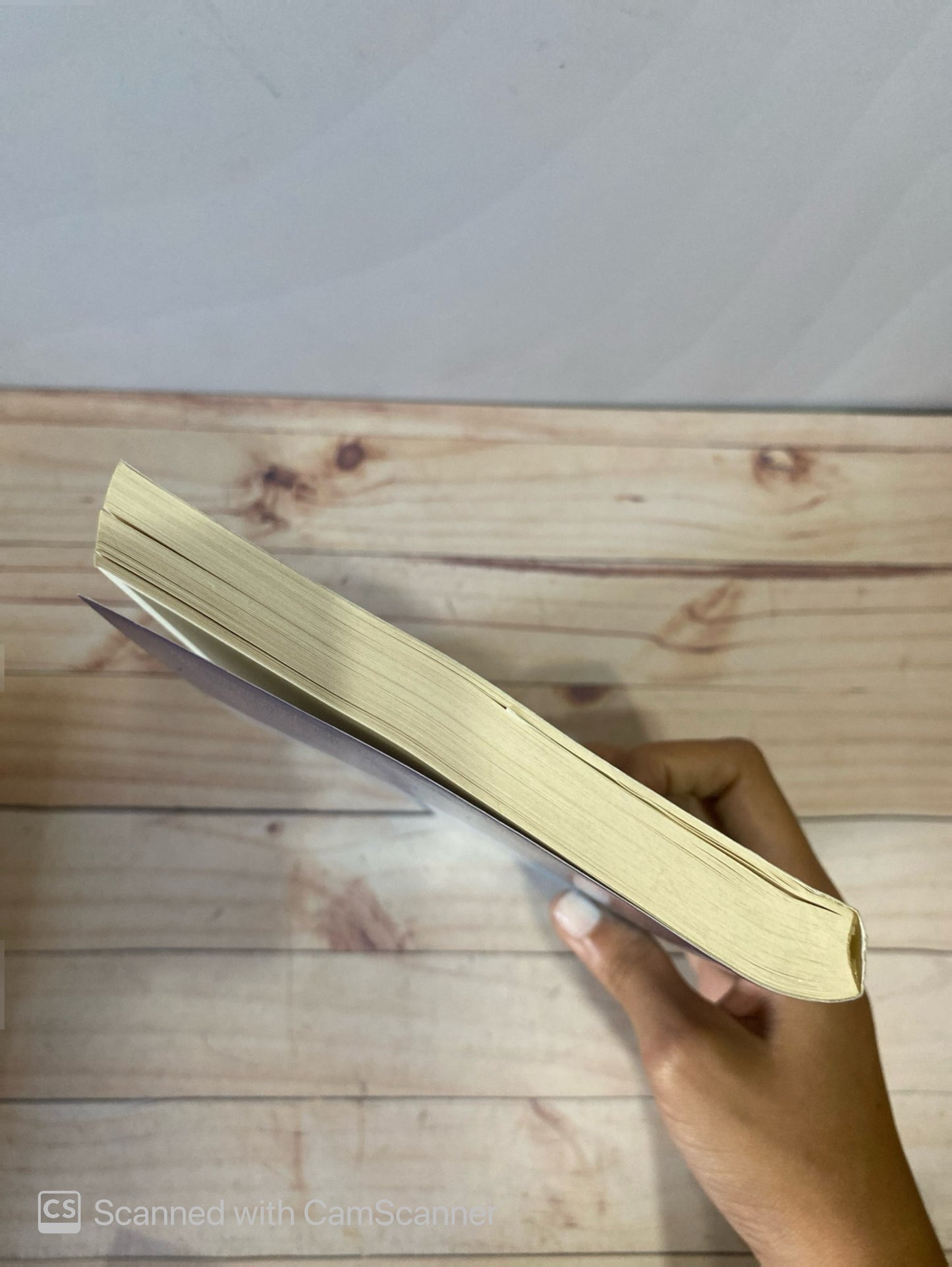 Ciberpresidente | Alberto Castillo Vicci