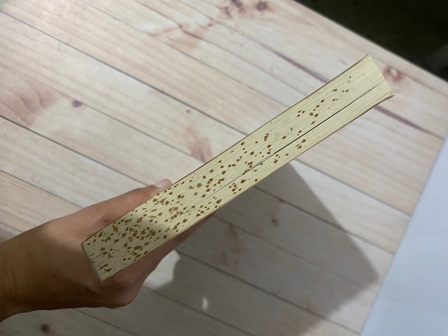 Bioética para todos | Ramón Lucas Lucas