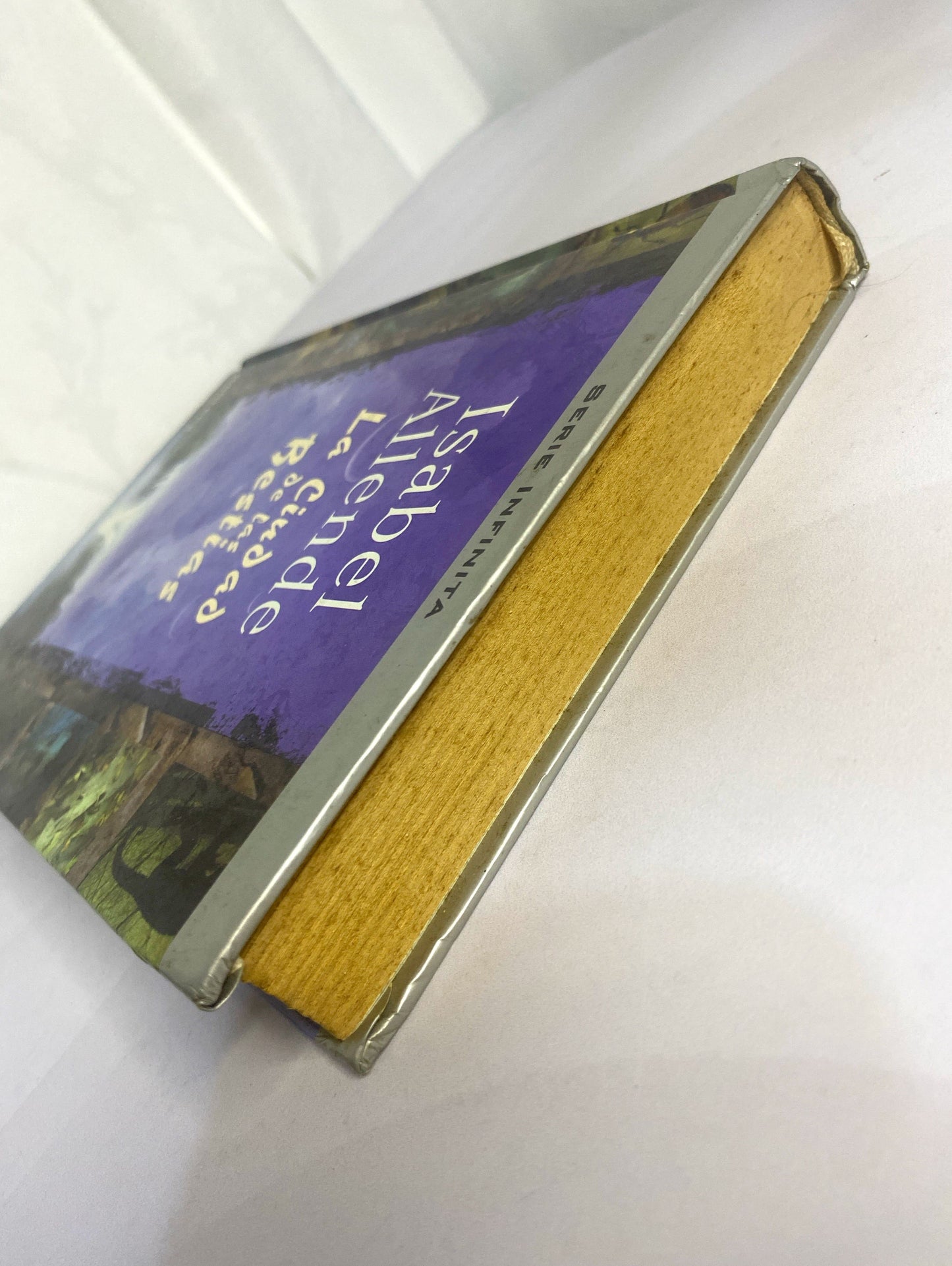 La ciudad de las bestias | Isabel Allende