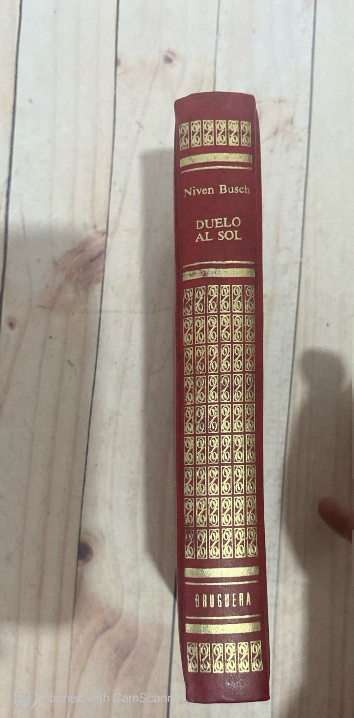 Duelo al sol | Niven Busch