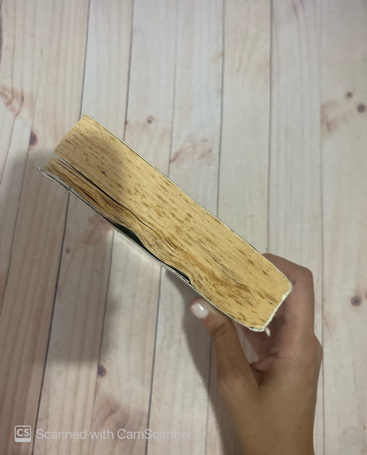 Los reyes católicos I Castilla para isabel | Jean Plaidy