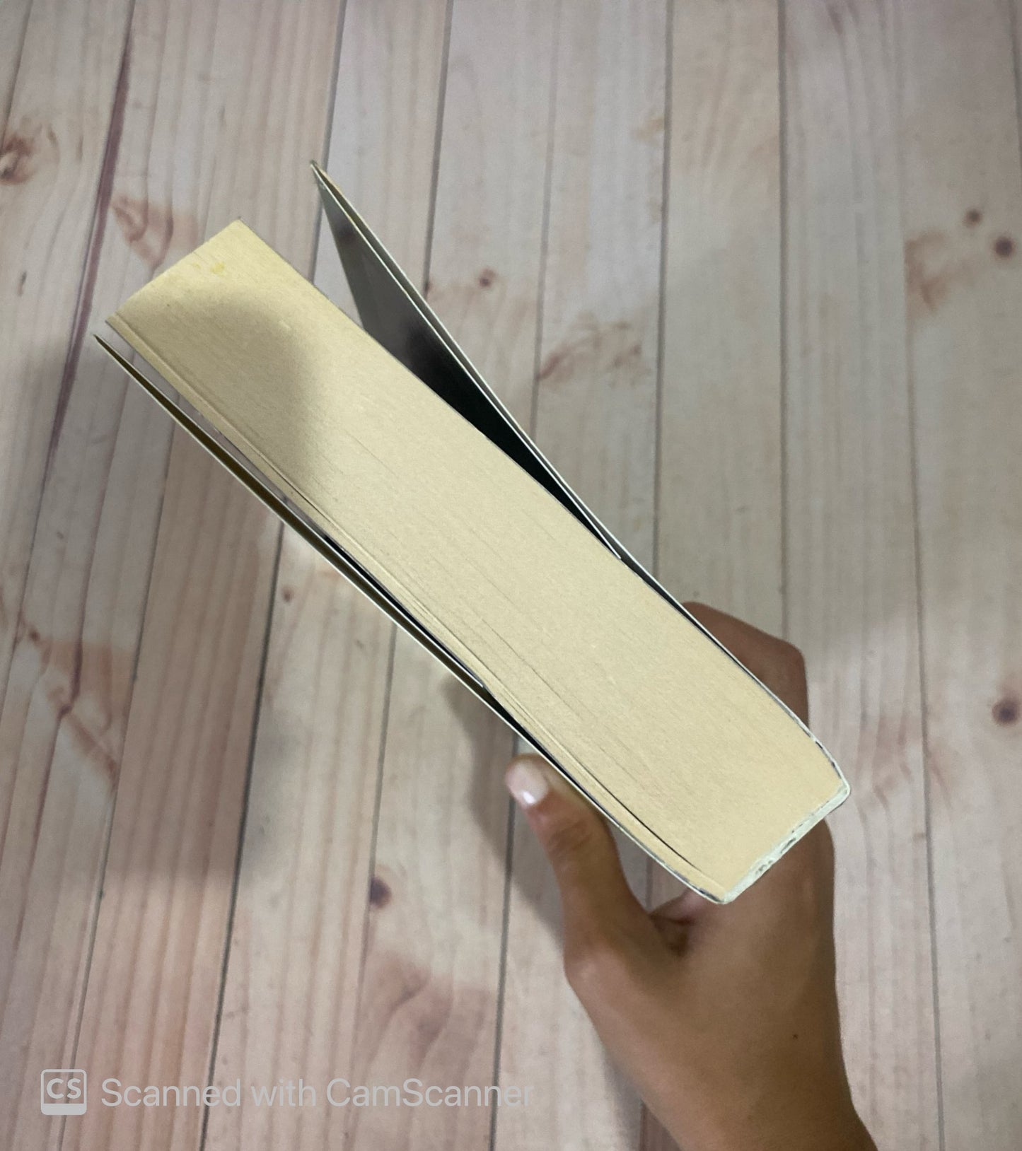 Los ojos amarillos de los cocodrilos | Katherine Pancol