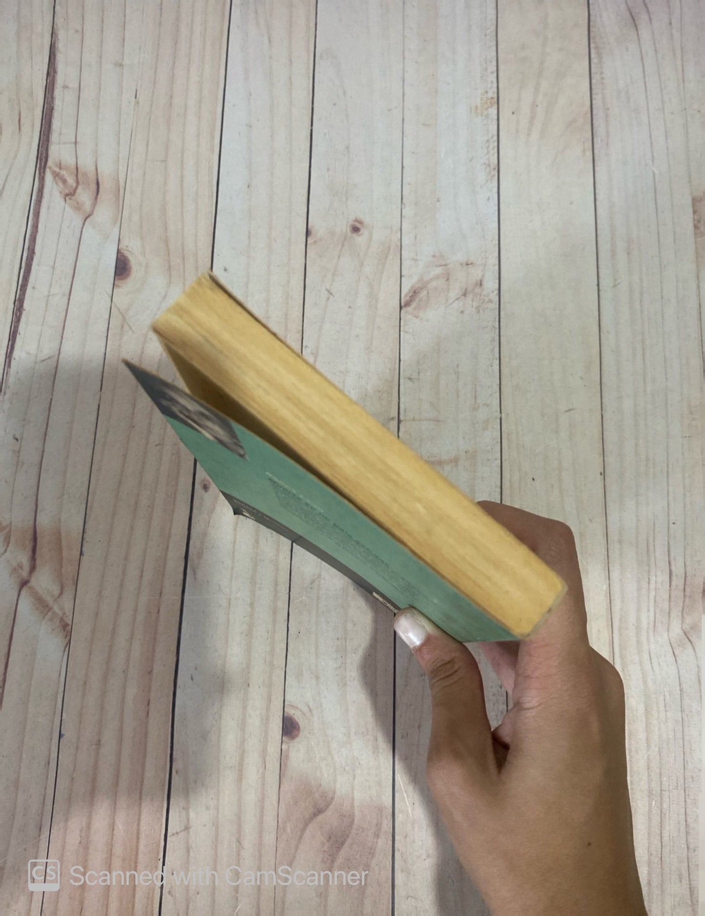 Muerte en un país extraño | Donna Leon