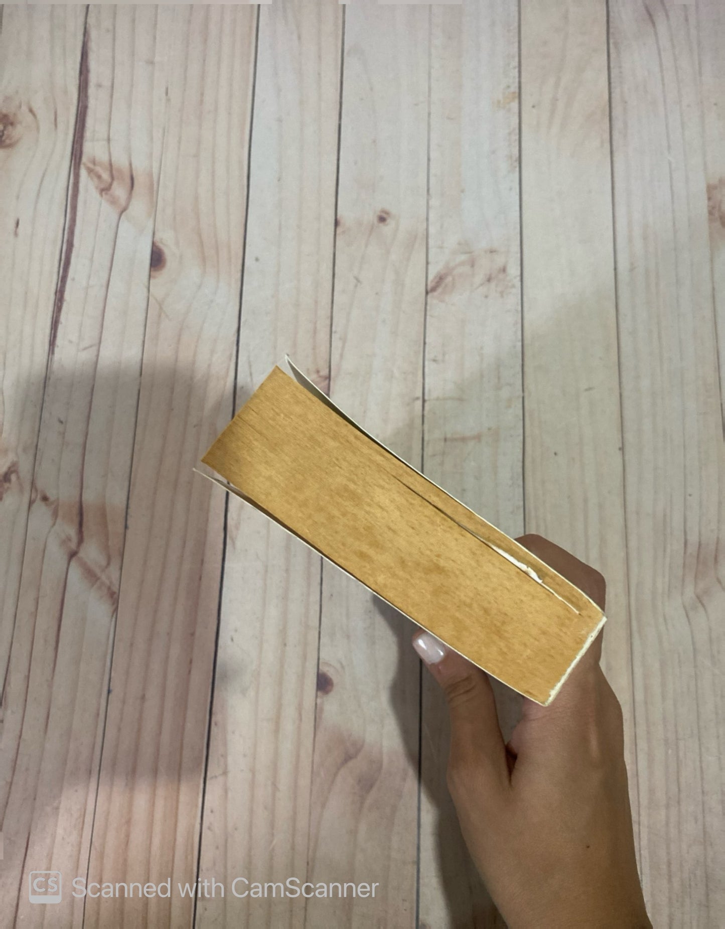 Armadillo | William Boyd